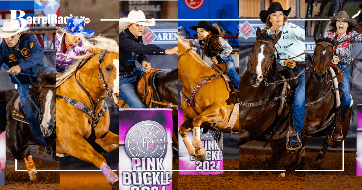 Pink Buckle champions barrel racing cover