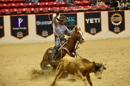 cade passig heeler
