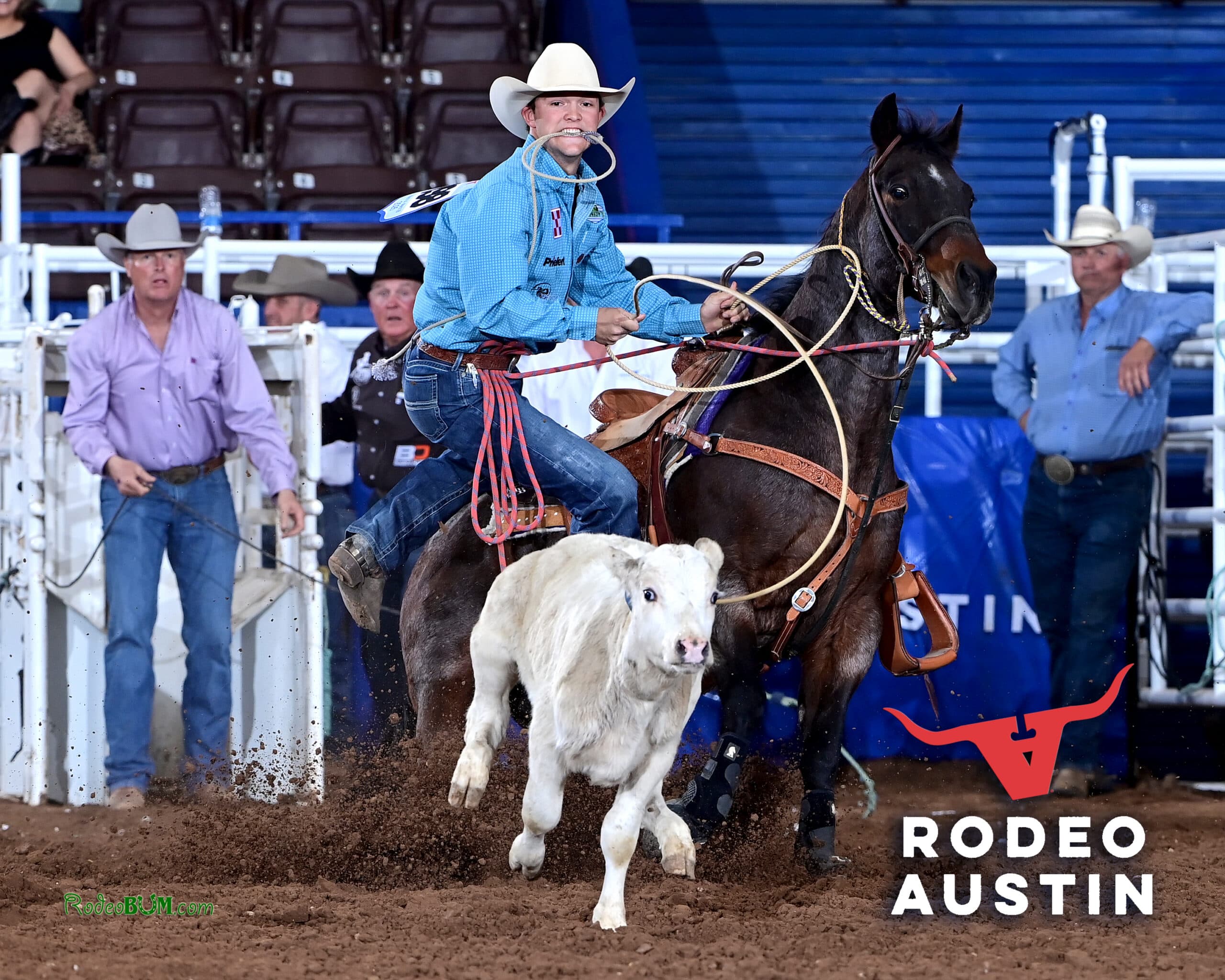 Tie-down roper in a light blue shirt and white hat dismounts his roan horse with rope in teeth as the calf runs ahead