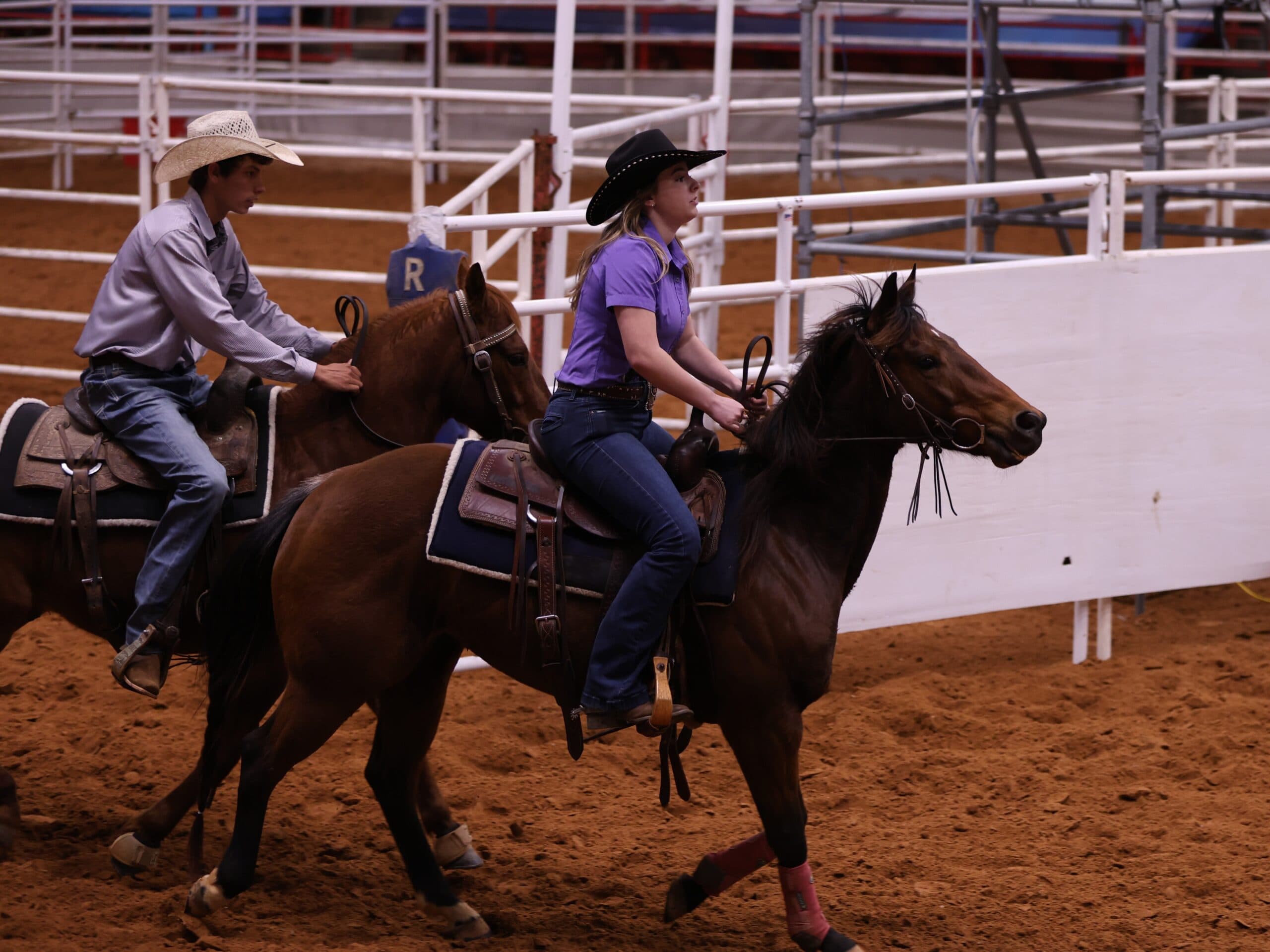 Two riders in cowboy hats trot their bay horses across an indoor rodeo arena, the woman in a purple shirt leading