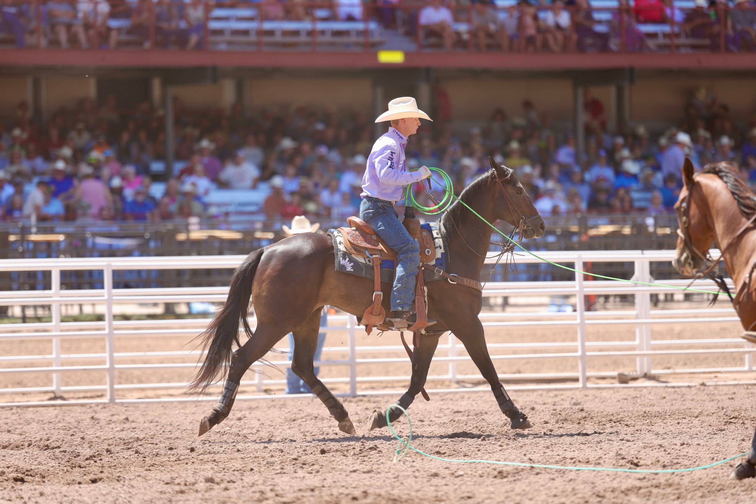 Cowboy in purple shirt and white hat rides dark horse with coiled rope at rodeo arena with grandstands full of spectators