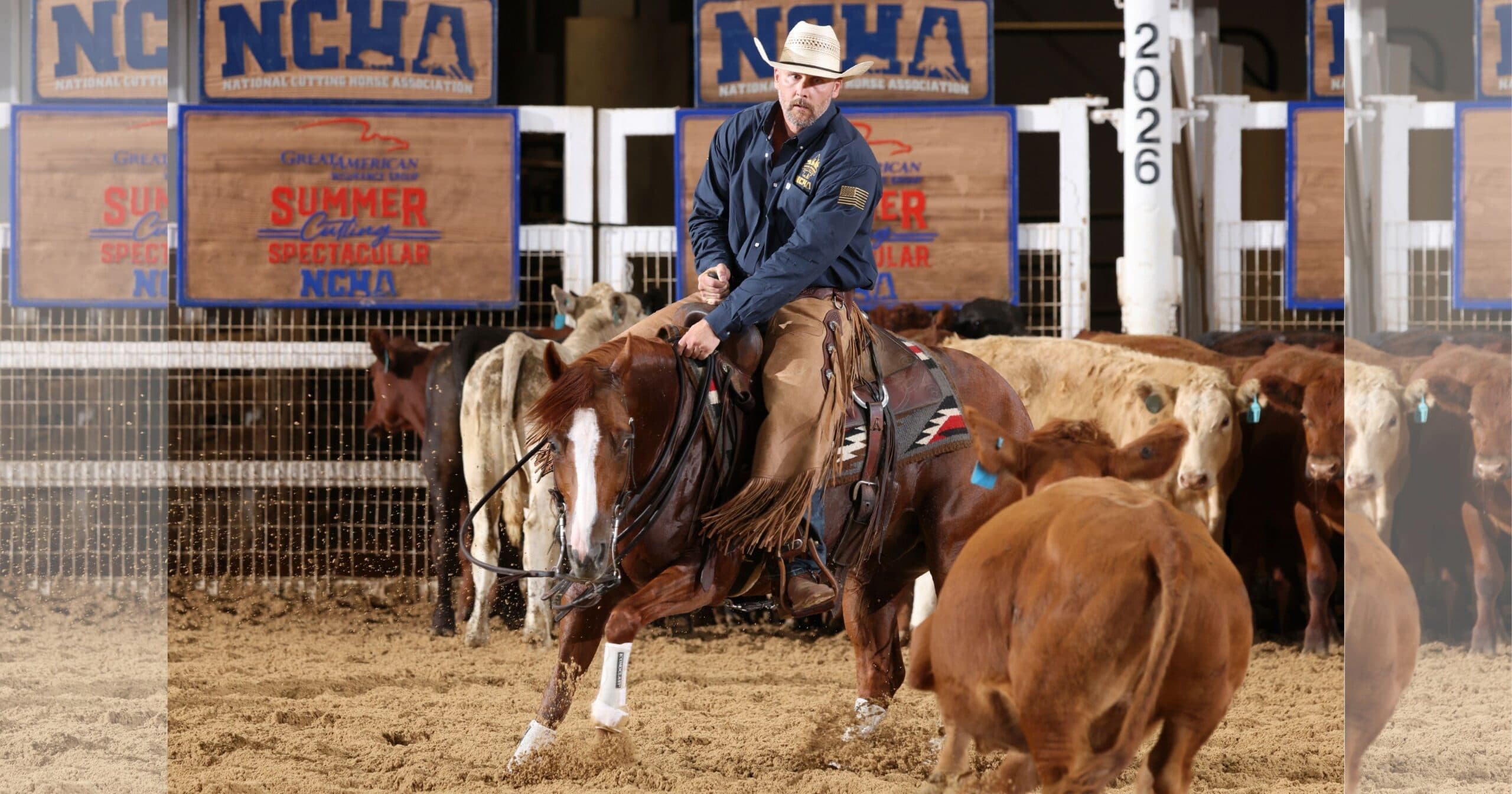 Cutting horse rider in straw hat and chaps works a red cow away from the herd at an NCHA Summer Cutting Spectacular