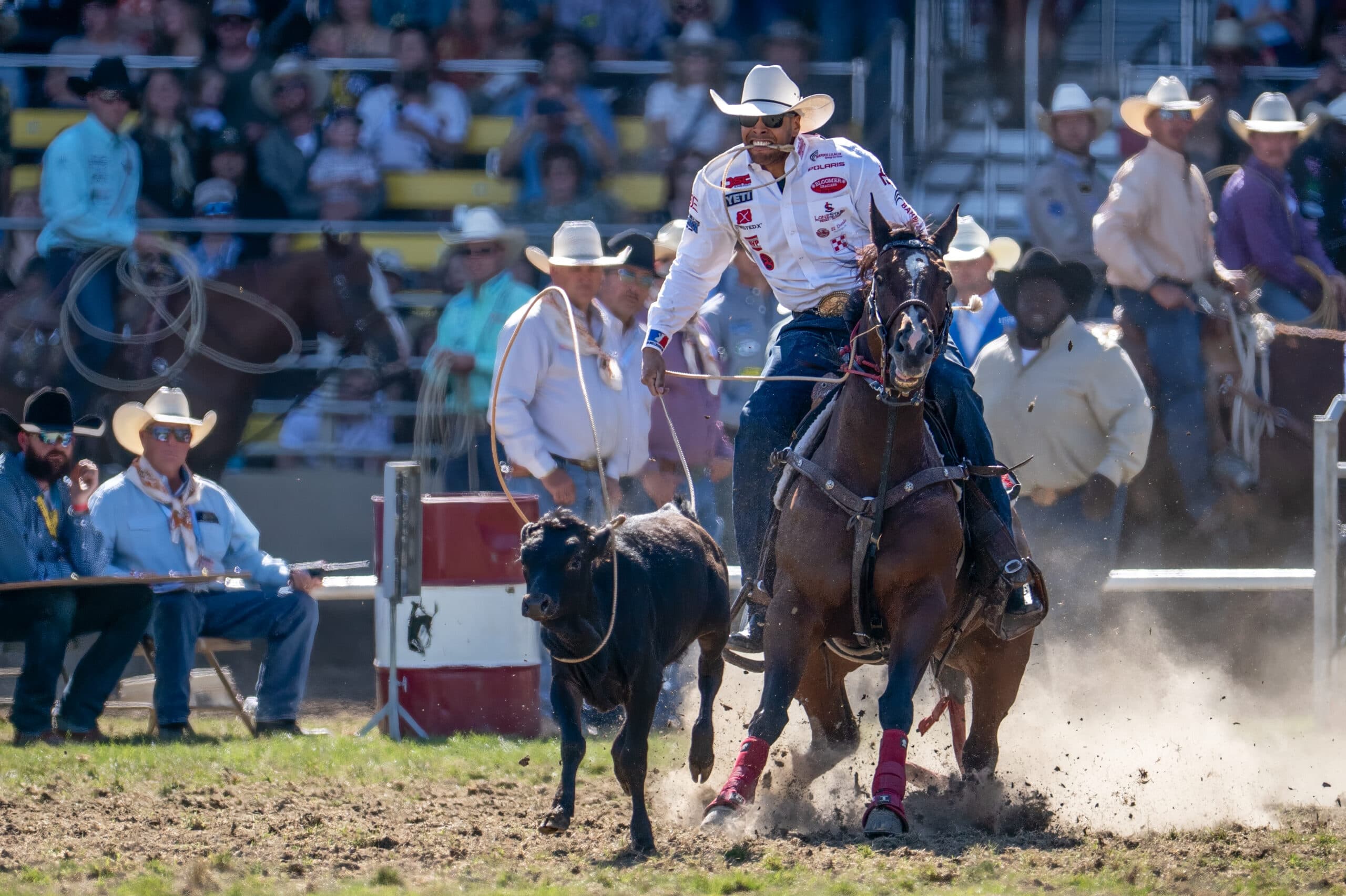 Shad Mayfield roping one on the grass aboard Lollipop.