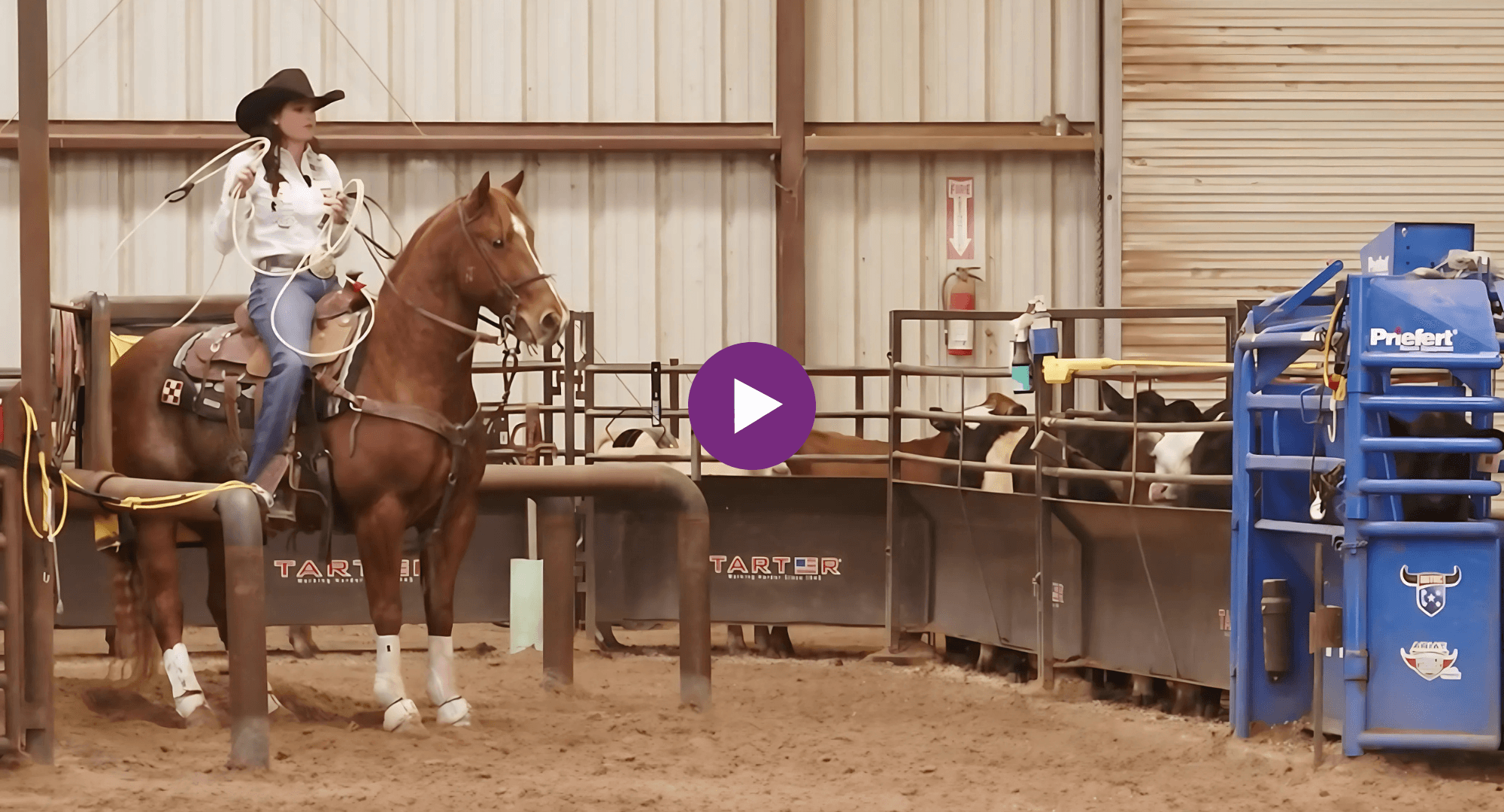 Breakaway roper in a black cowboy hat coils her rope aboard a sorrel horse beside the roping chute in an indoor arena