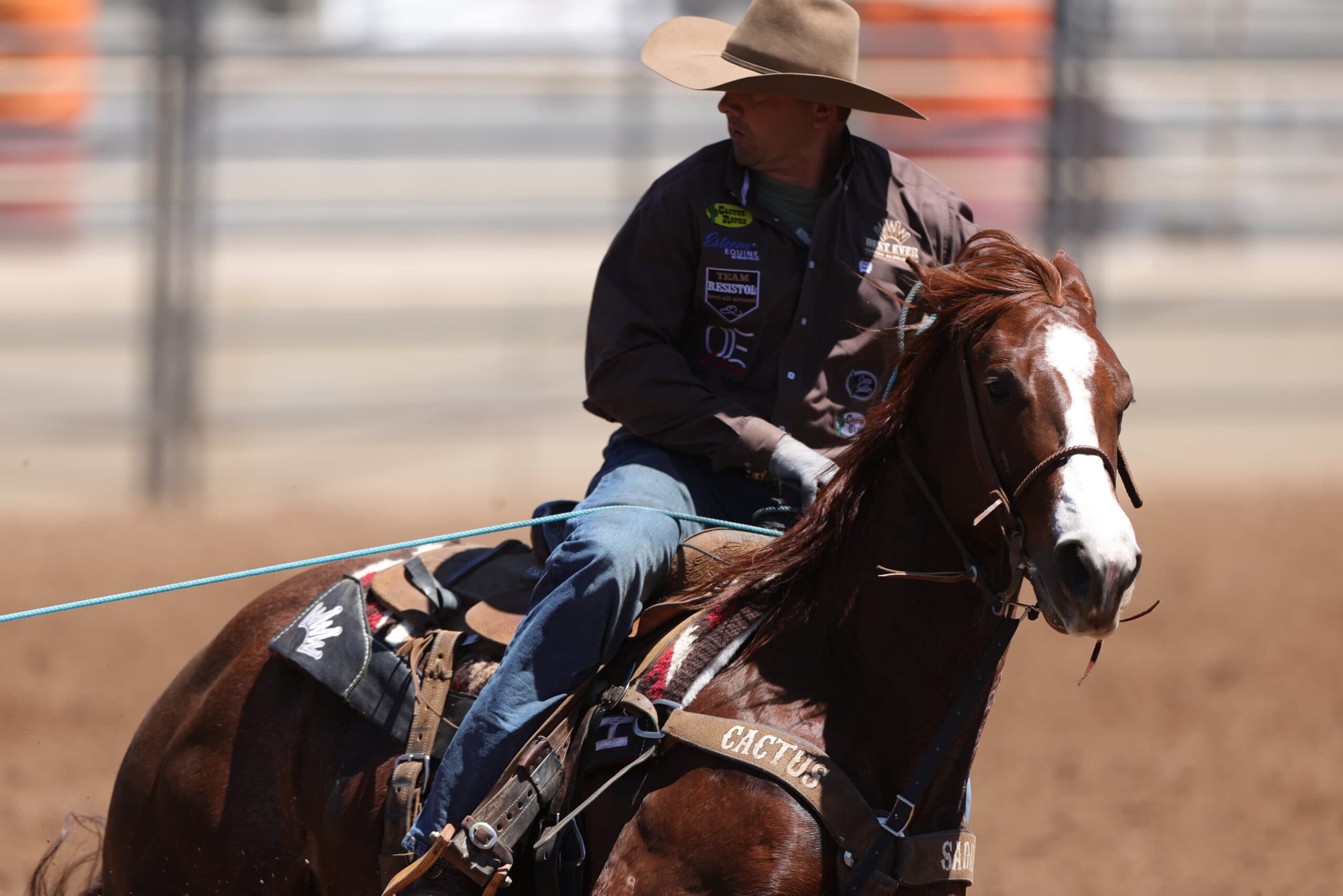 Andy Holcomb Shes A Bossy Rebel