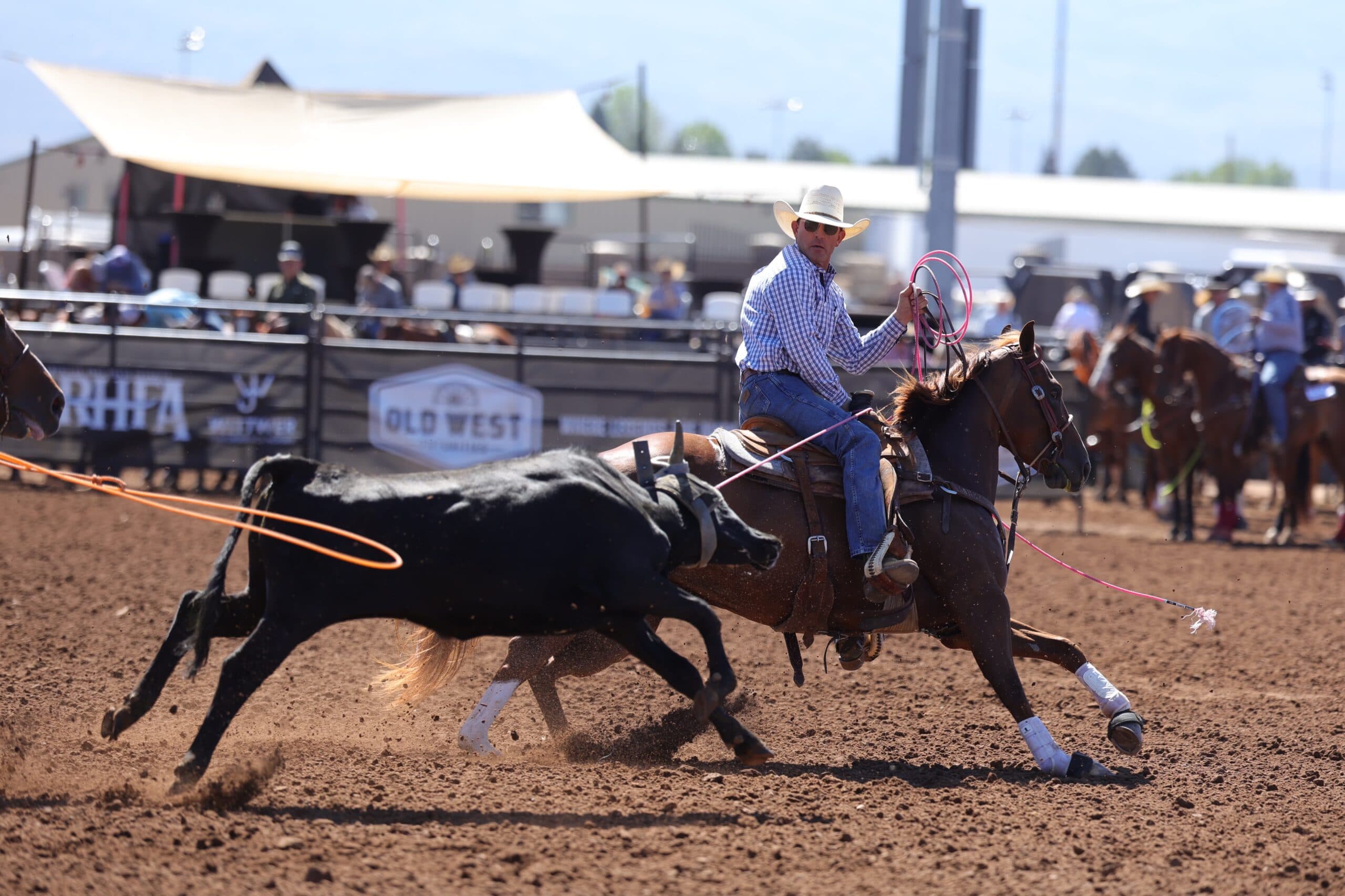 Robbie Boyce is second high call in the pre-futurity heading at Old West Road to a Million Event | TRJ File Photos