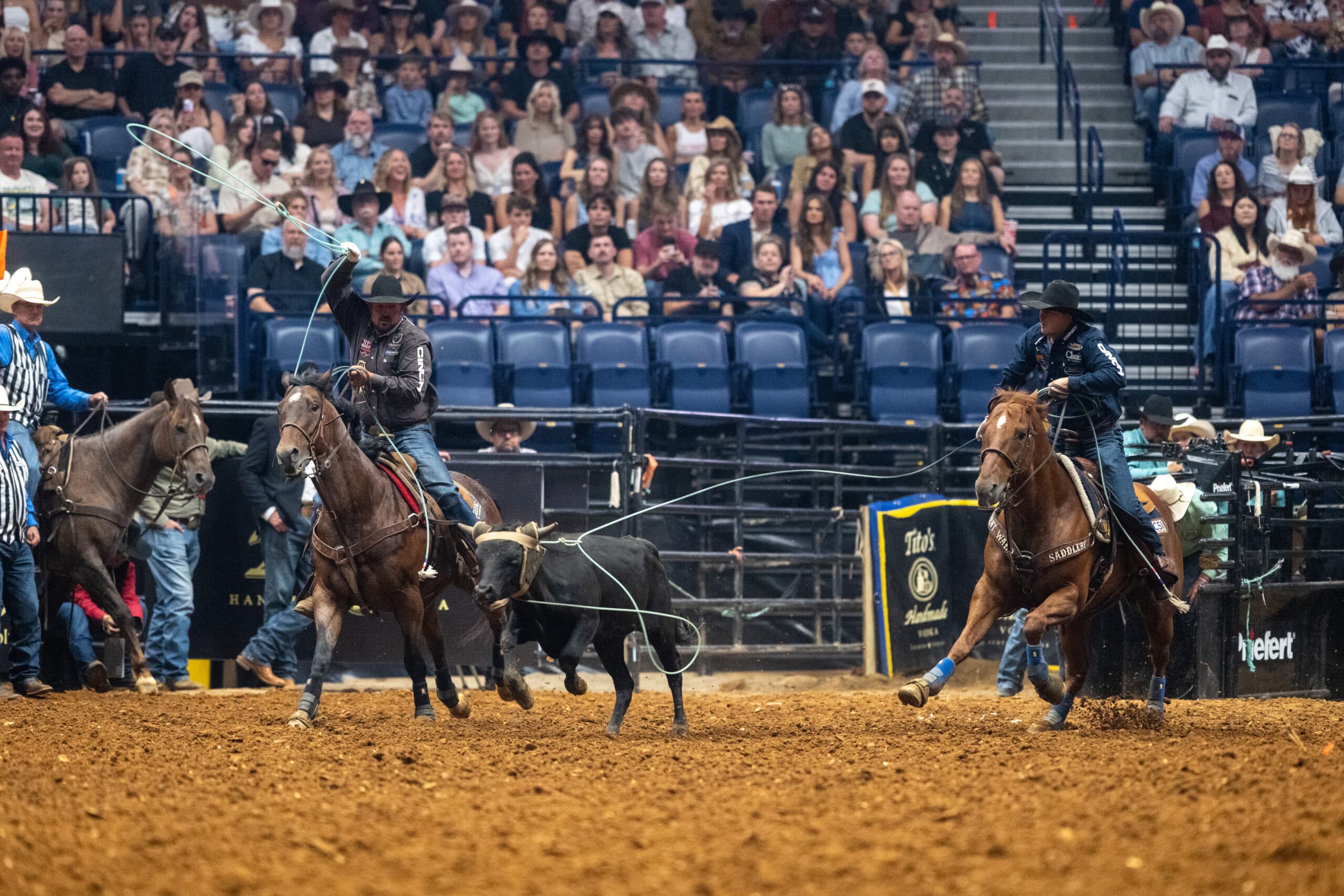 Team ropers compete during a rodeo event, with one cowboy swinging a lasso while mounted on a brown horse as spectators watch from the stands