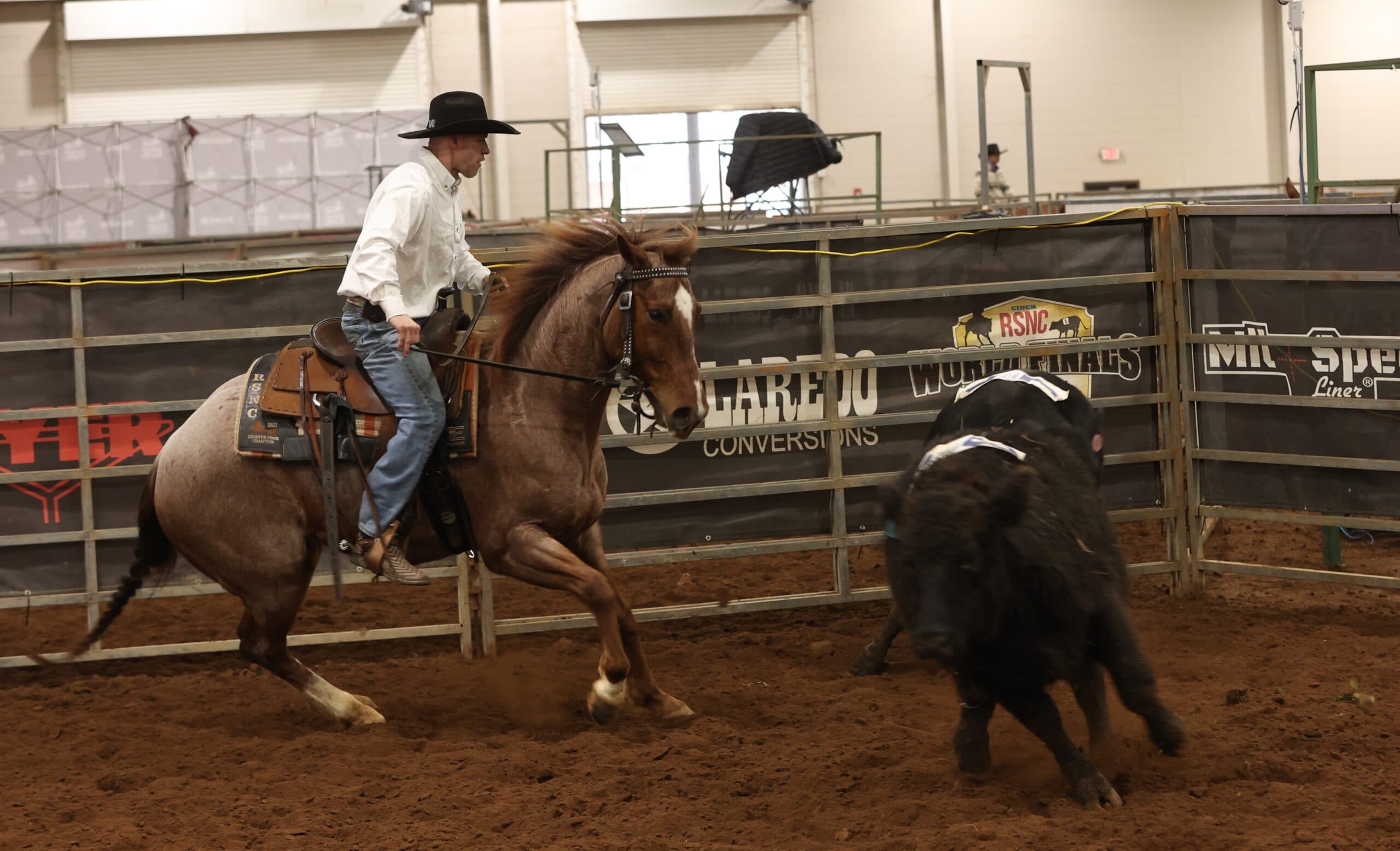 Cowboy in white shirt and black hat works a black cow on a red roan horse along the arena fence at the RSNC World Finals