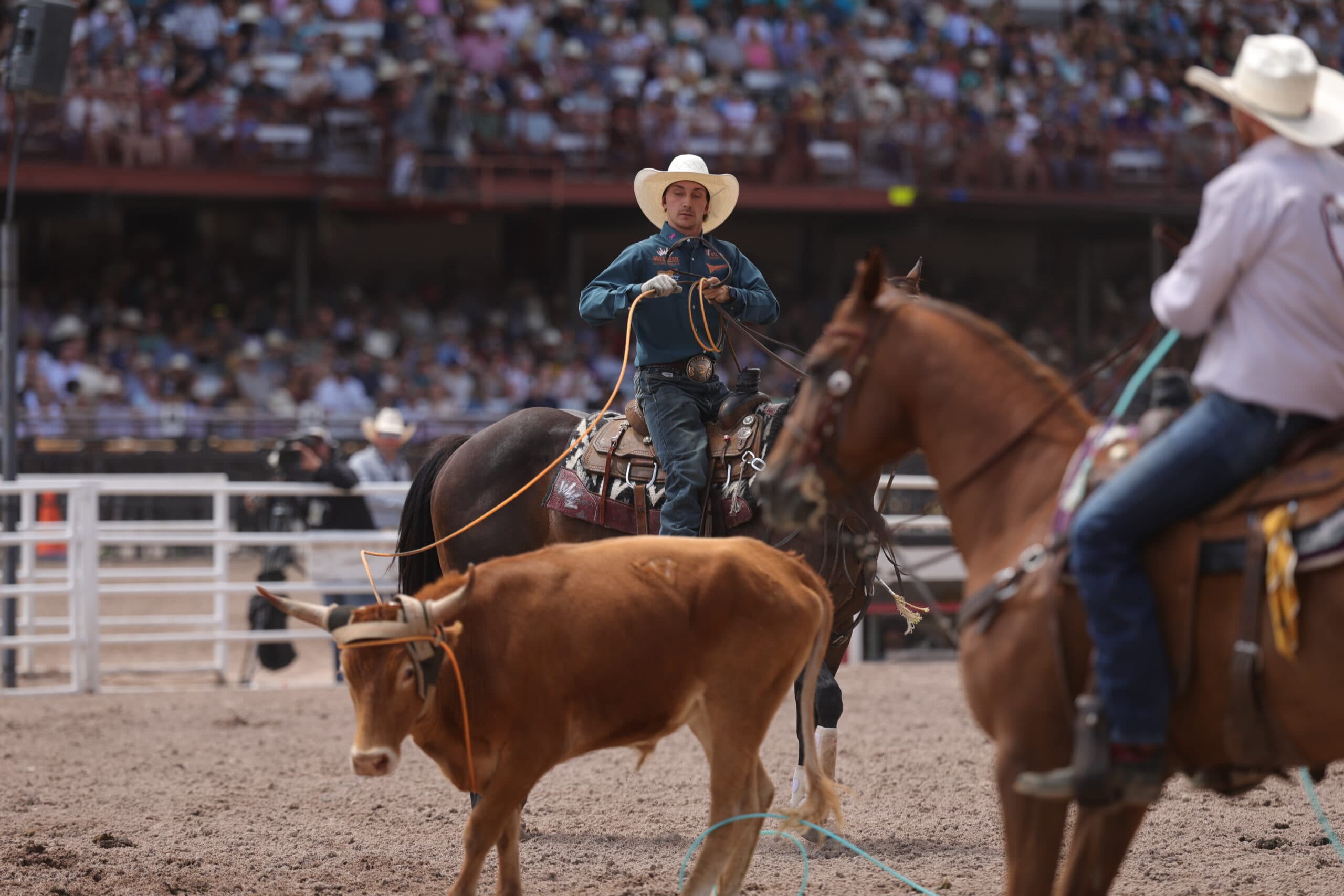 Cowboy on horseback with lasso prepares to rope a steer during rodeo competition in arena with spectators in bleachers