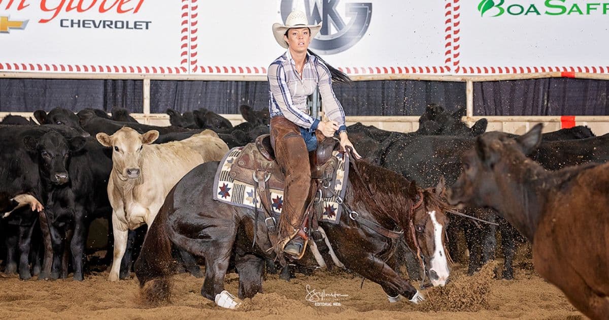 Cutting horse rider in cowboy hat and chaps works a cow in the arena as the herd stands behind them