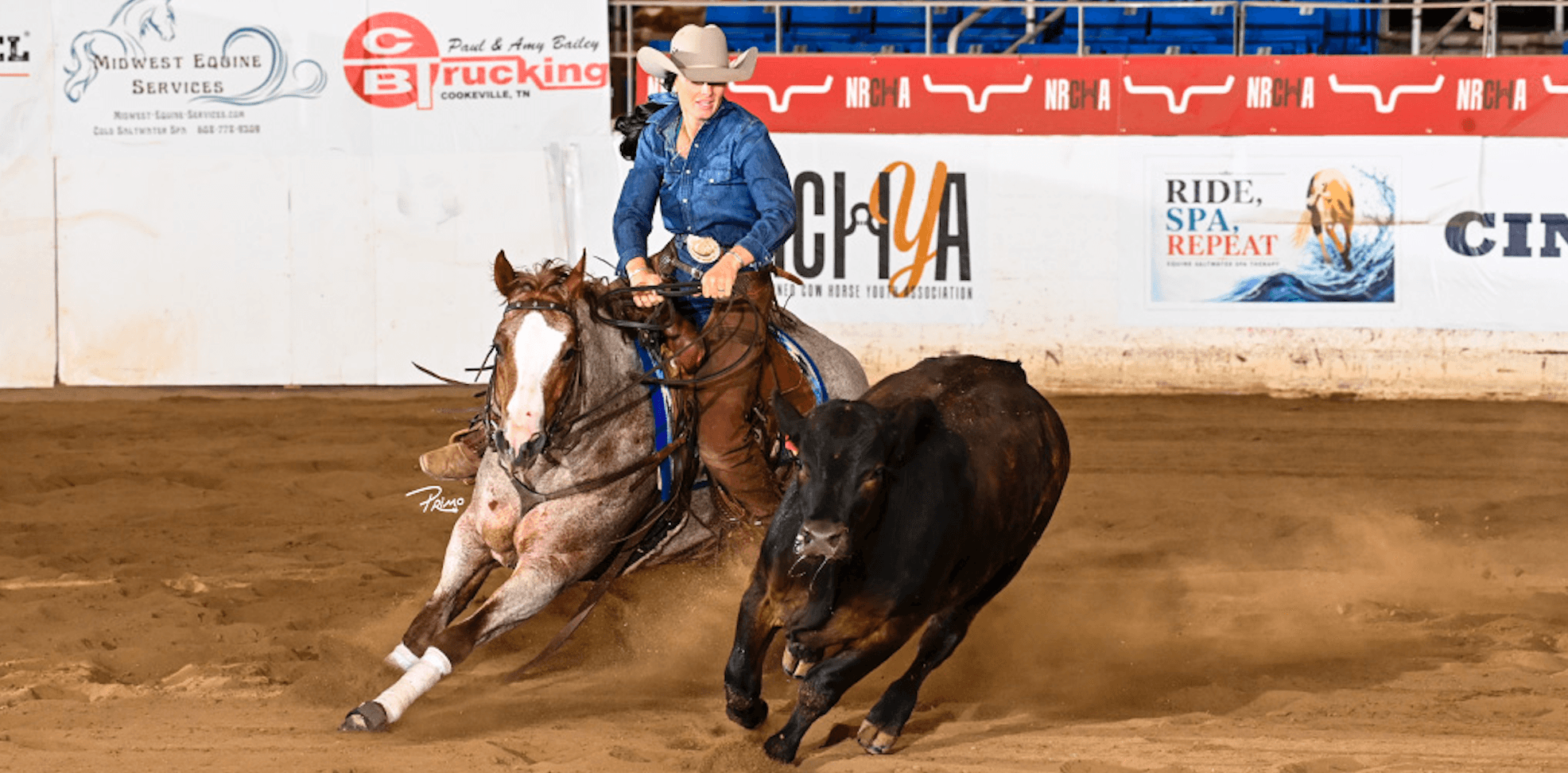 Rider in a denim shirt and cowboy hat works a black cow on a roan horse during an NRCHA cow horse event