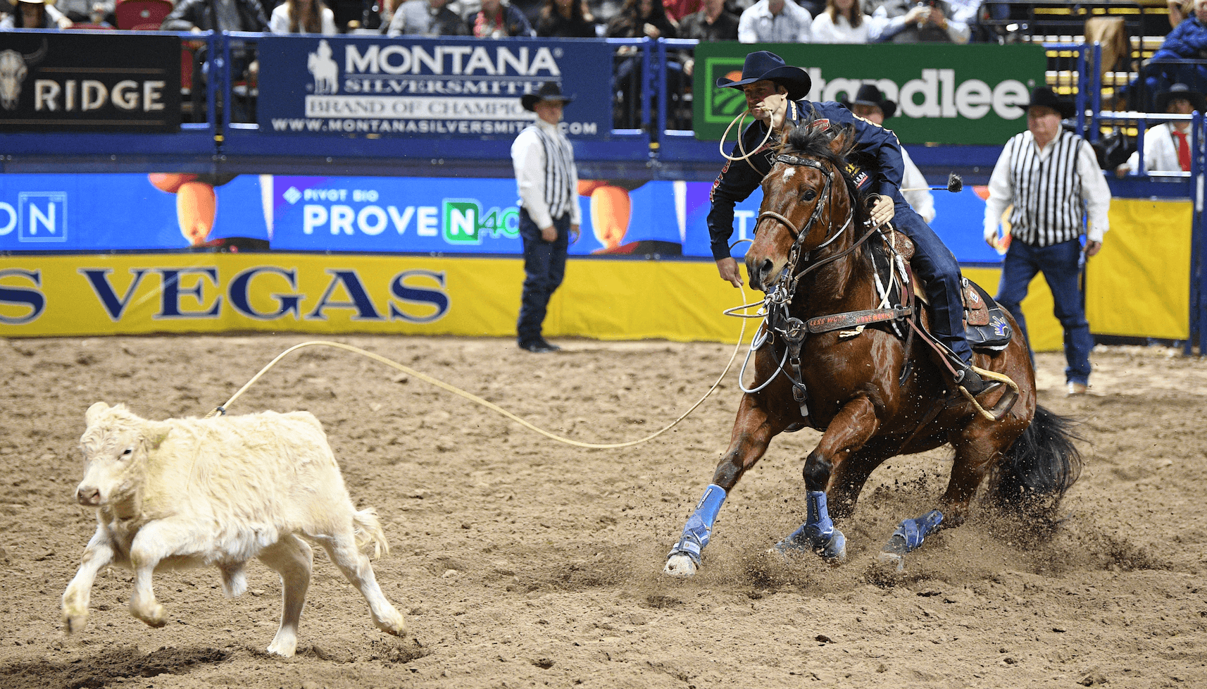 Shane Hanchey competed in Rounds 1 and 2 on Stylish Bugsy before stepping off the gelding.