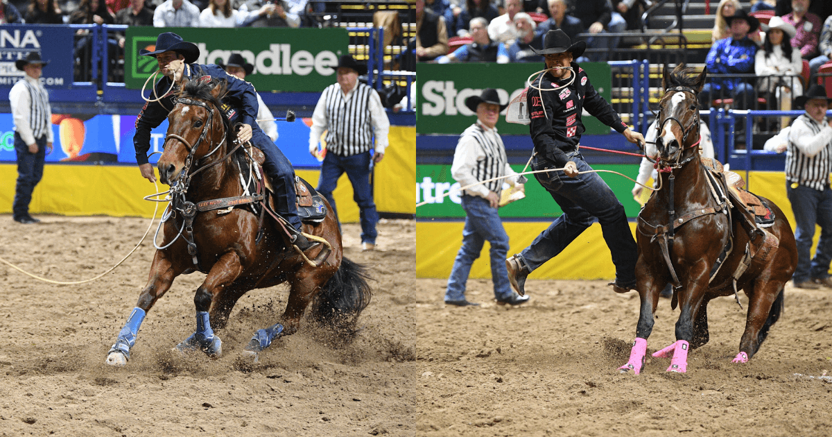 Split image of two tie-down ropers, one riding a bay horse in blue splint boots and one dismounting beside a bay in pink boots