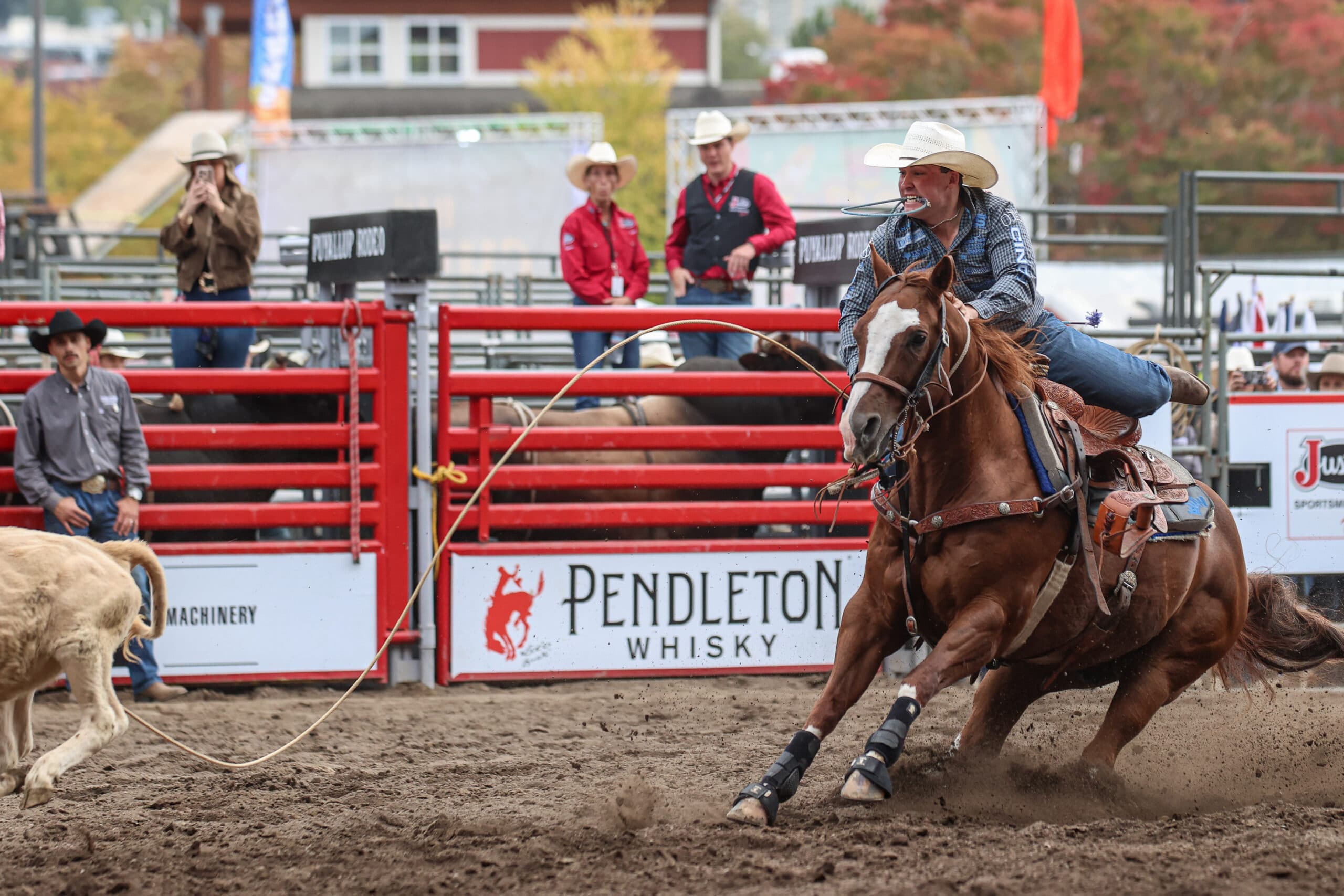 Riley Webb on his 2025 Horse of the Year, Marked Up Cat, "Rudy," in Puyallup.