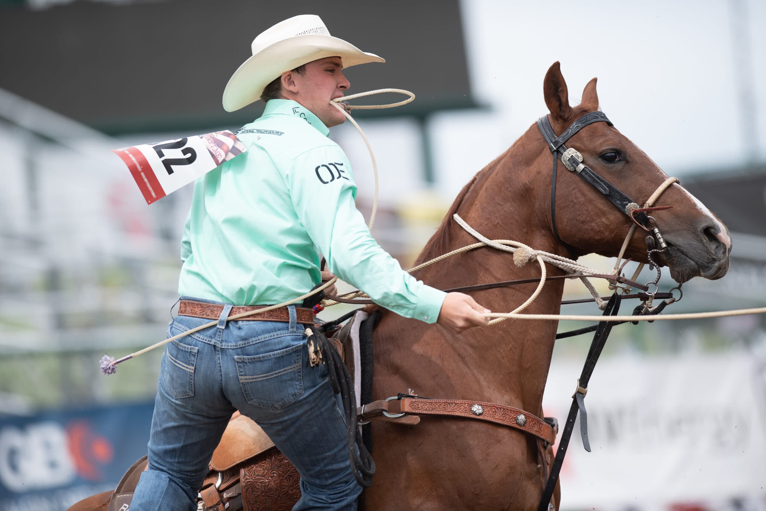 Tie-down roper in a mint shirt and straw cowboy hat grips his rope in his teeth while backing his sorrel horse into the box