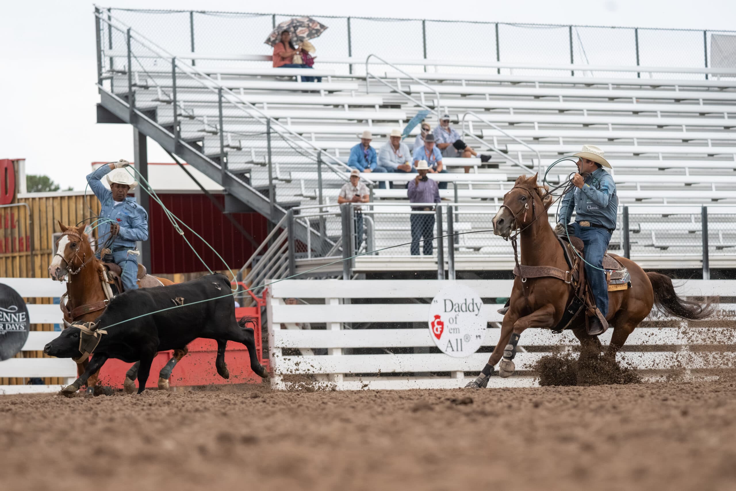 Steer roper on horseback ropes a steer while another competitor approaches during a rodeo event, with spectators watching from bleachers