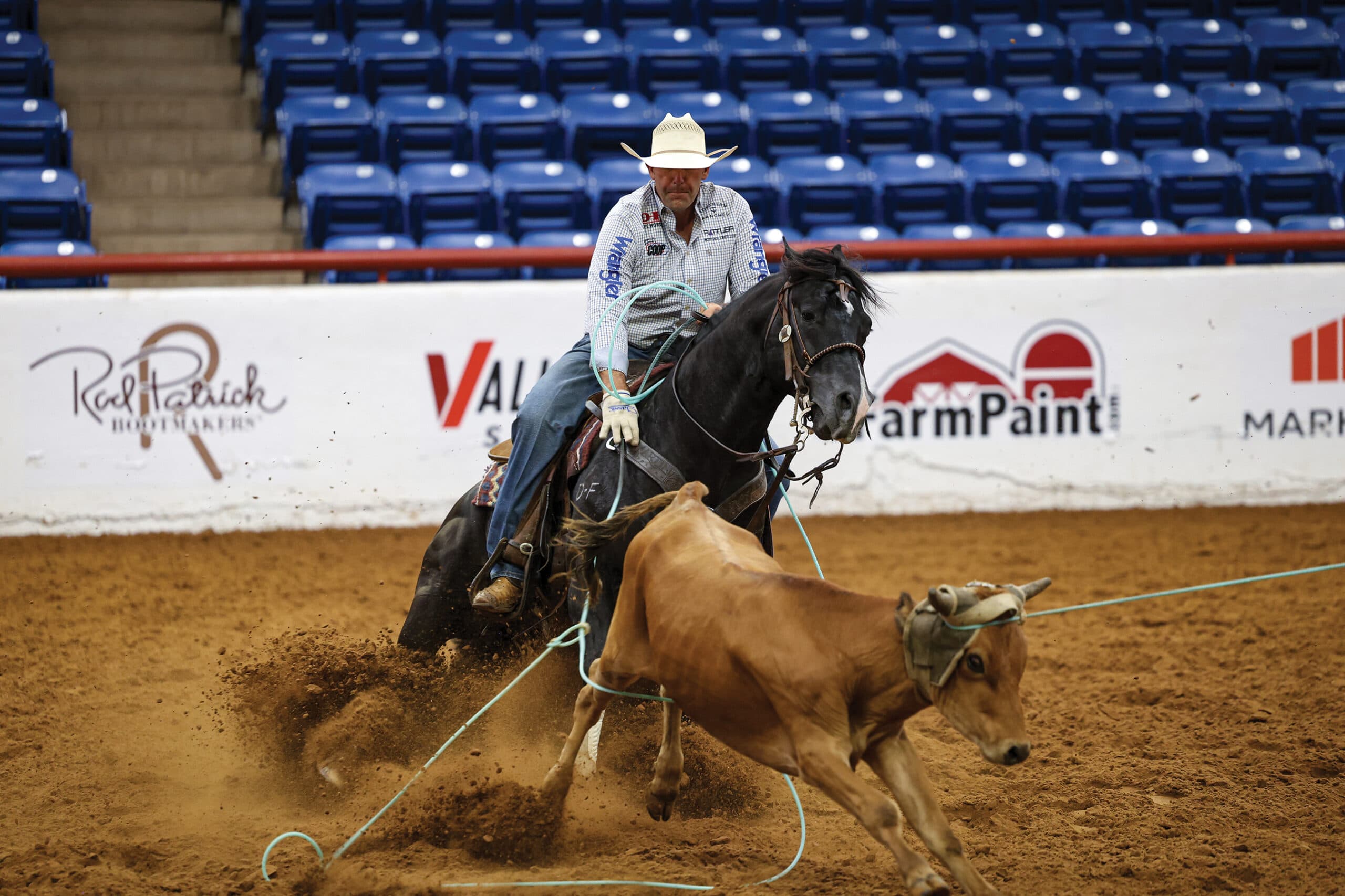 Cowboy on black horse roping brown steer during team roping event in indoor arena with sponsor signage