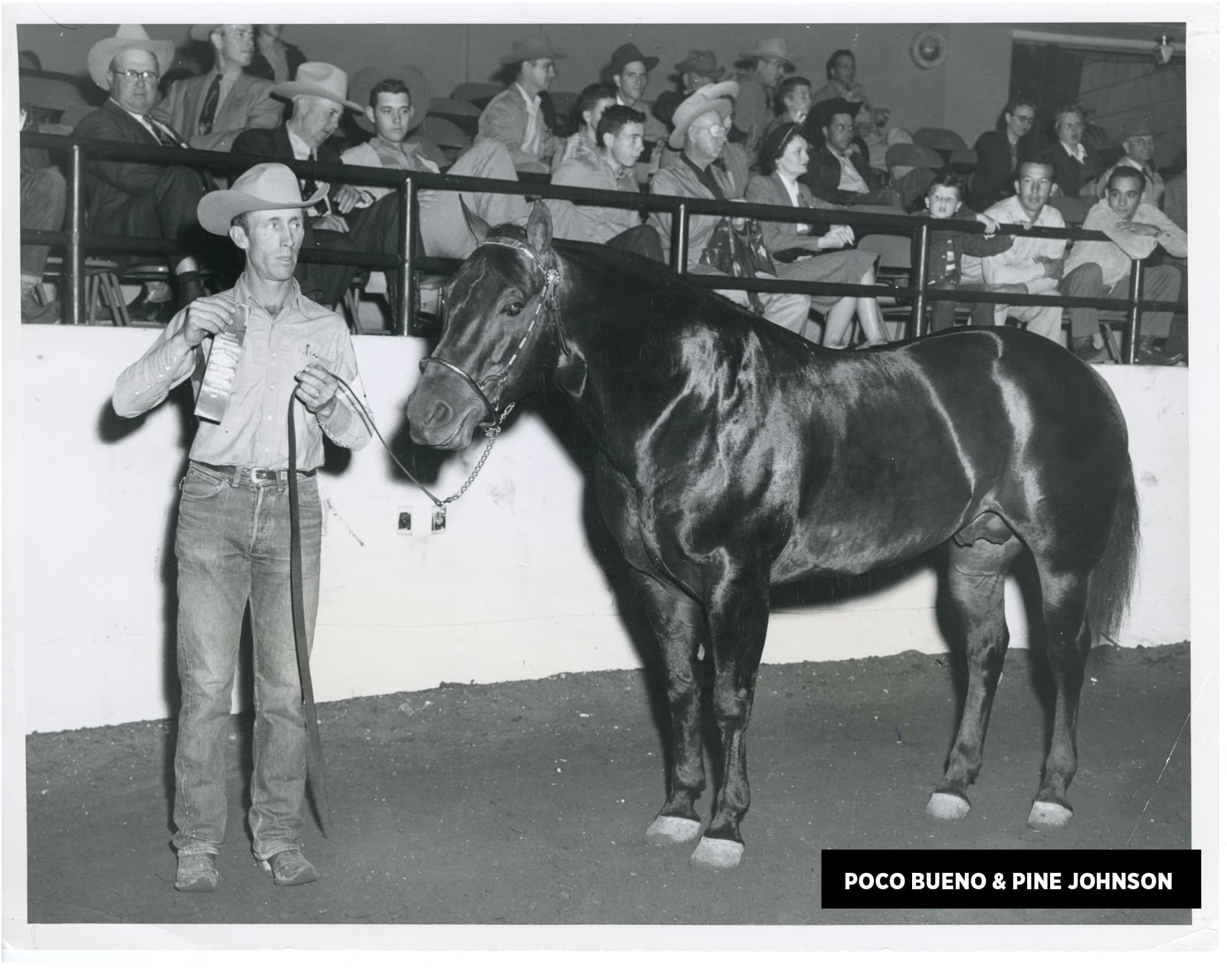The Ride Podcast Bonus Episode: The Blueprint of the Modern Performance Horse