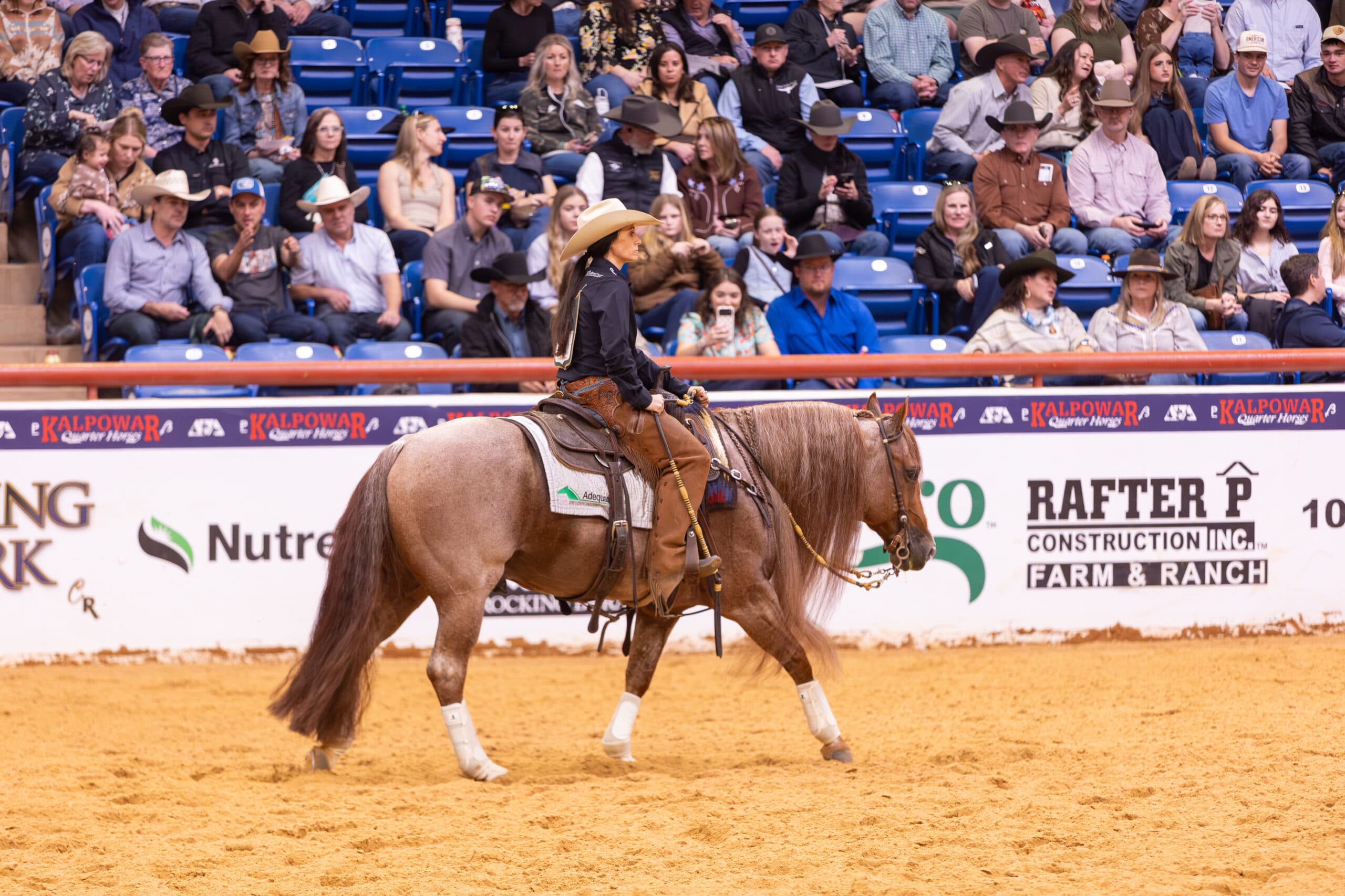 The Ride Podcast Ep. 137: Abbie Phillips on Taking the Leap to the Open and the Horses Along the Way