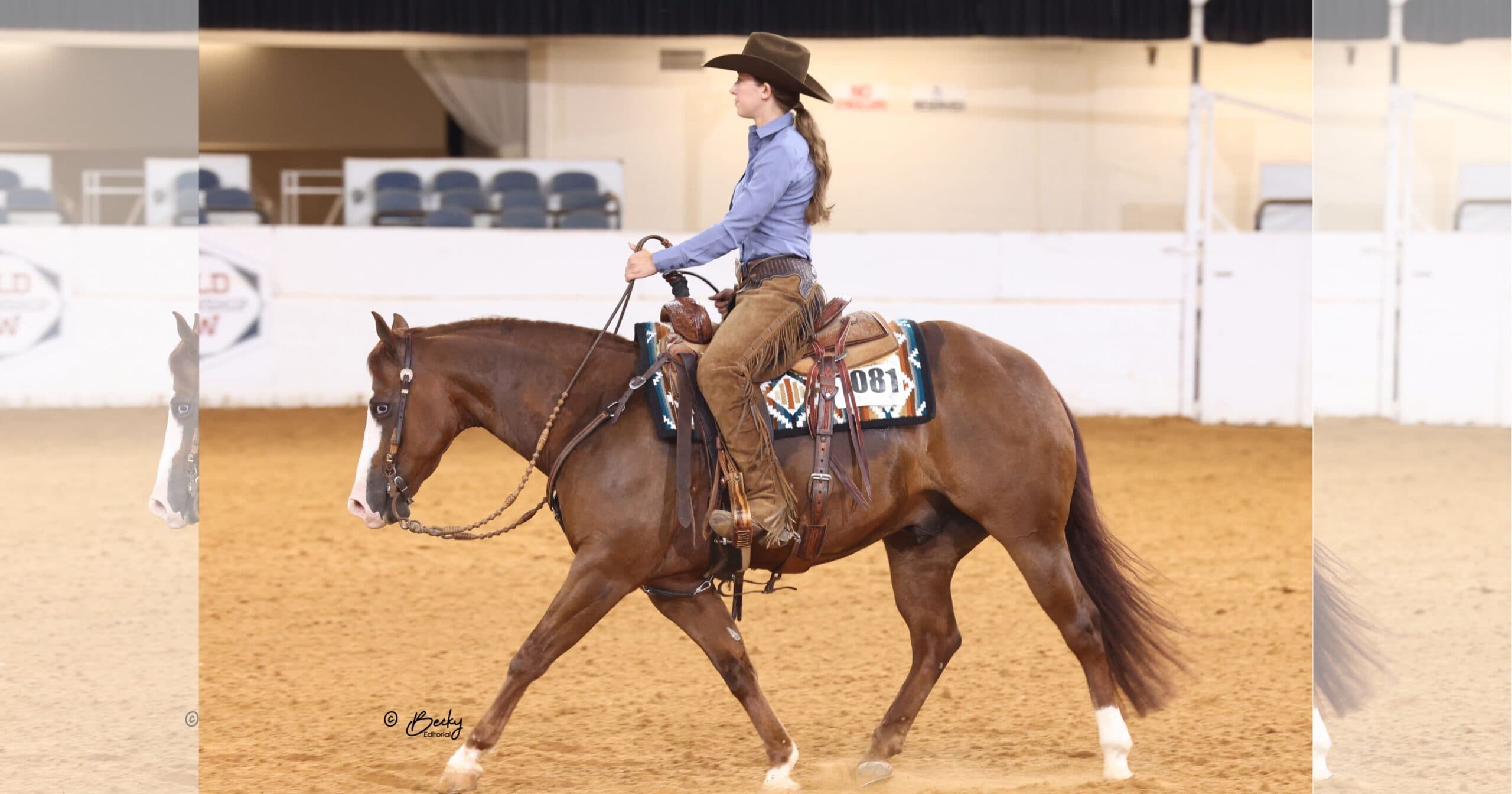 Rider in blue shirt and brown chaps on chestnut horse in indoor arena during Western riding event
