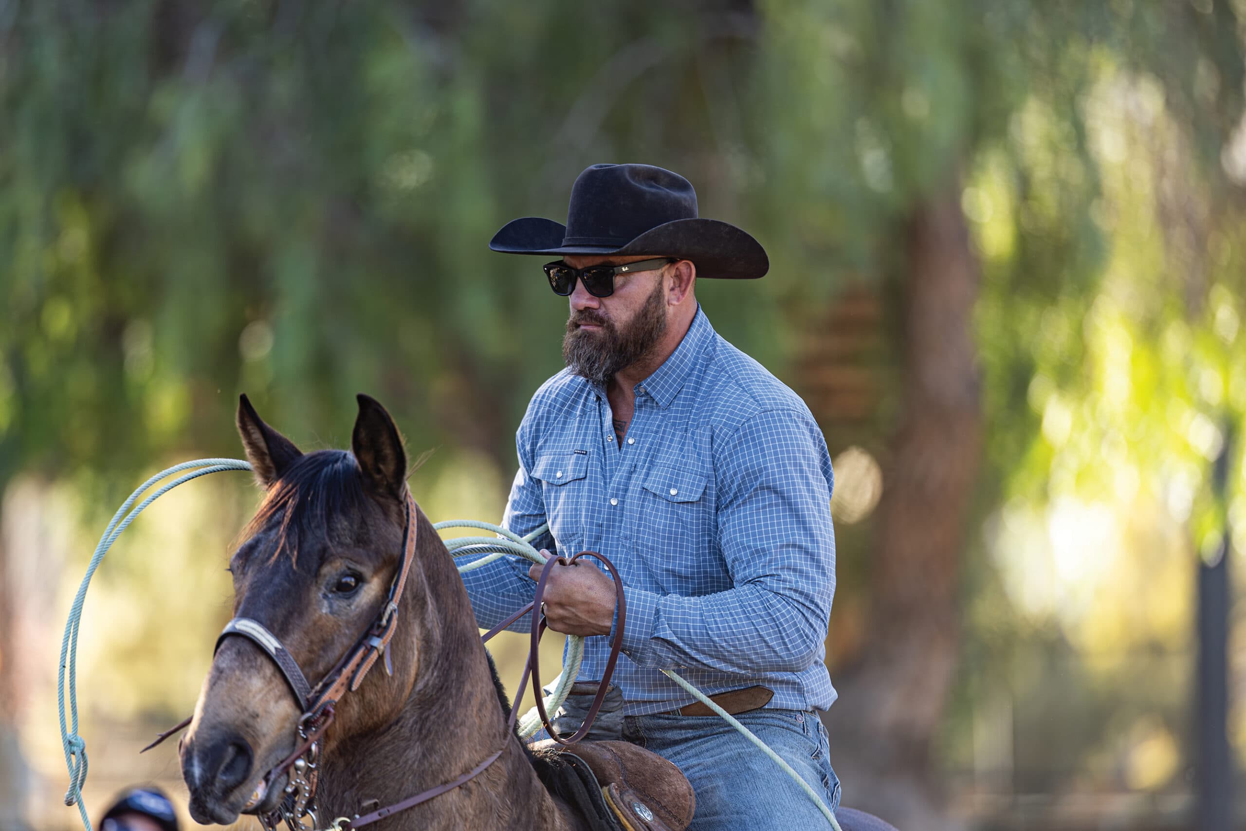 Cowboy on horseback holding a coiled rope, wearing a blue plaid shirt, black cowboy hat, and sunglasses in a tree-lined setting