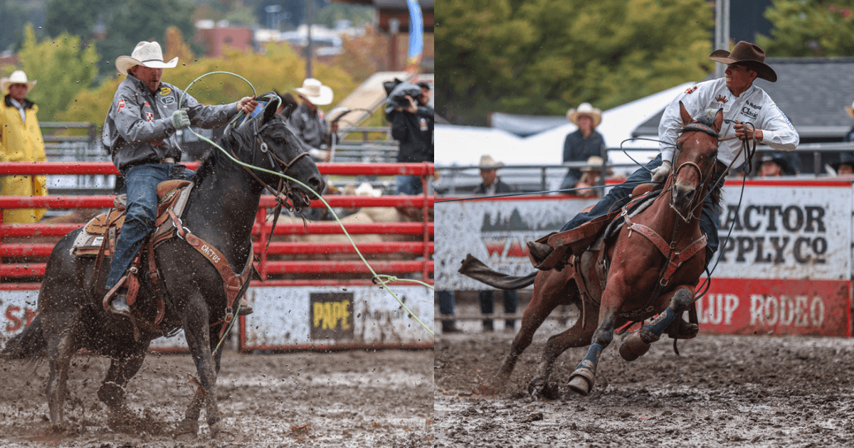 Two rodeo competitors in action: left shows a roper on a black horse with lasso mid-throw; right shows a rider on a brown horse in barrel racing position near red arena fencing