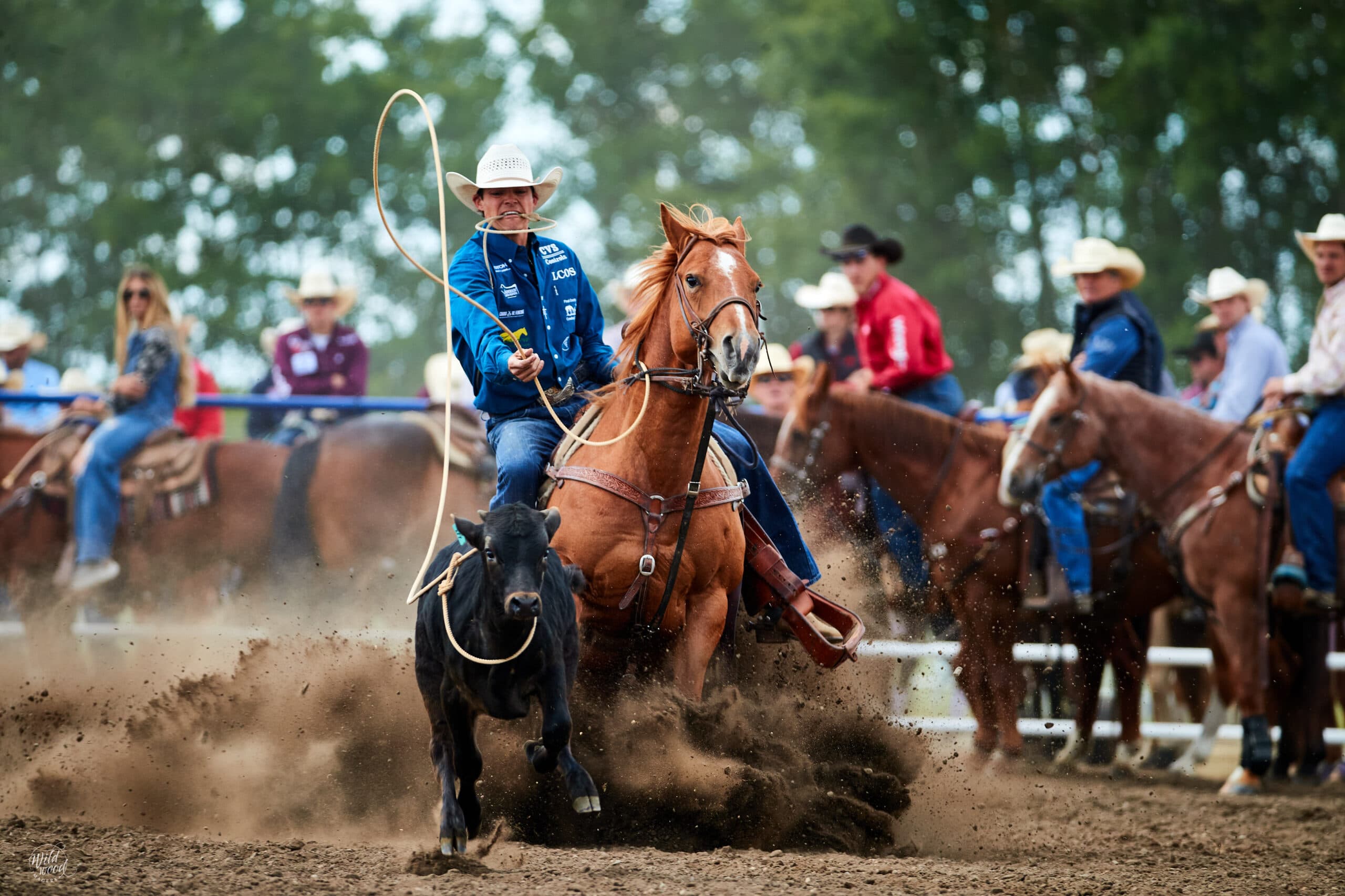 Kyle Lucas at the 2024 Wainwright Stampede.