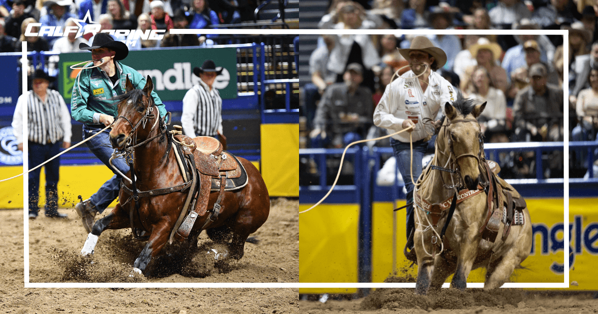 Ty Harris and Marty Yates in Round 8