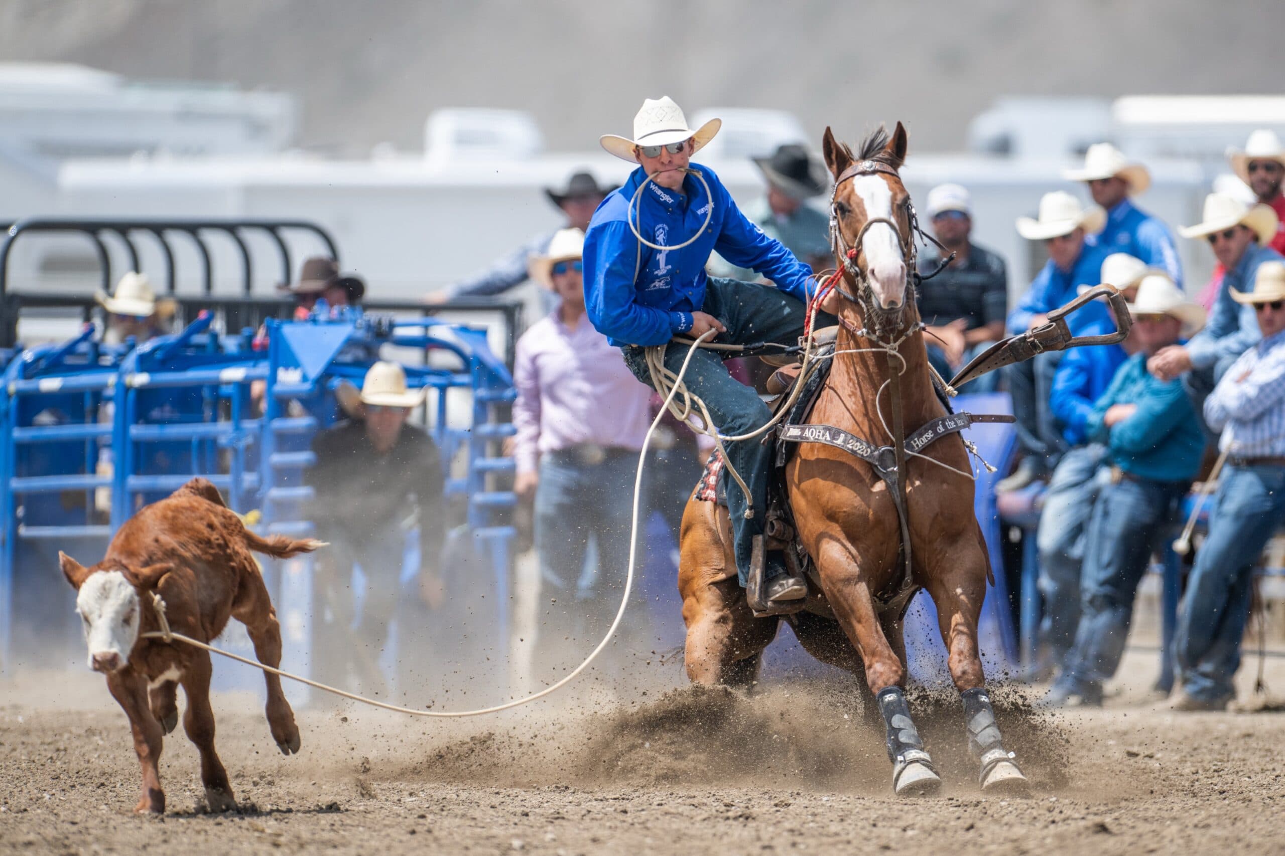 Stran Dunham and Mississippi winning Cody.