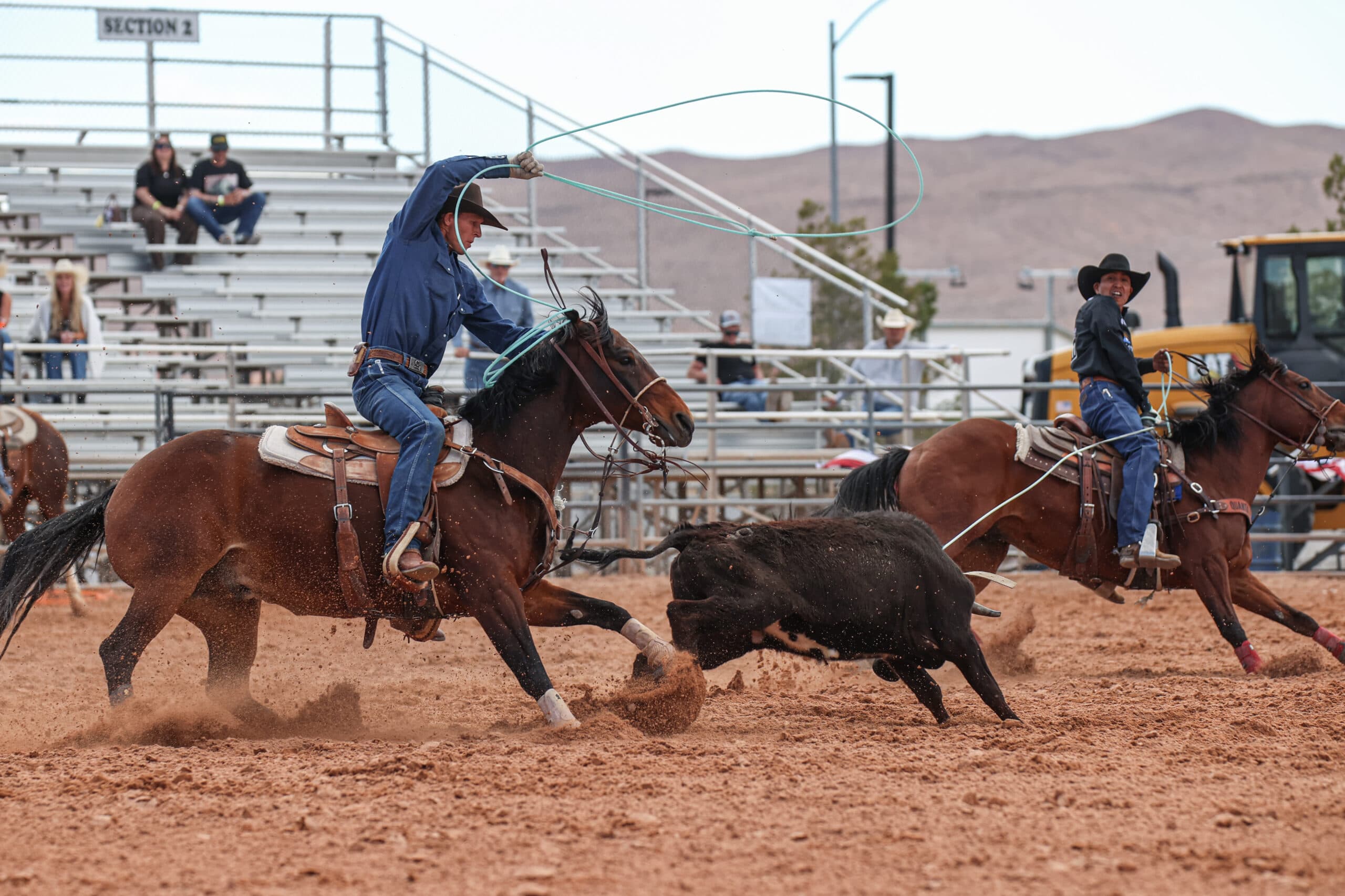 Roper on bay horse swings lasso toward black steer during team roping event at rodeo arena with spectators in bleachers