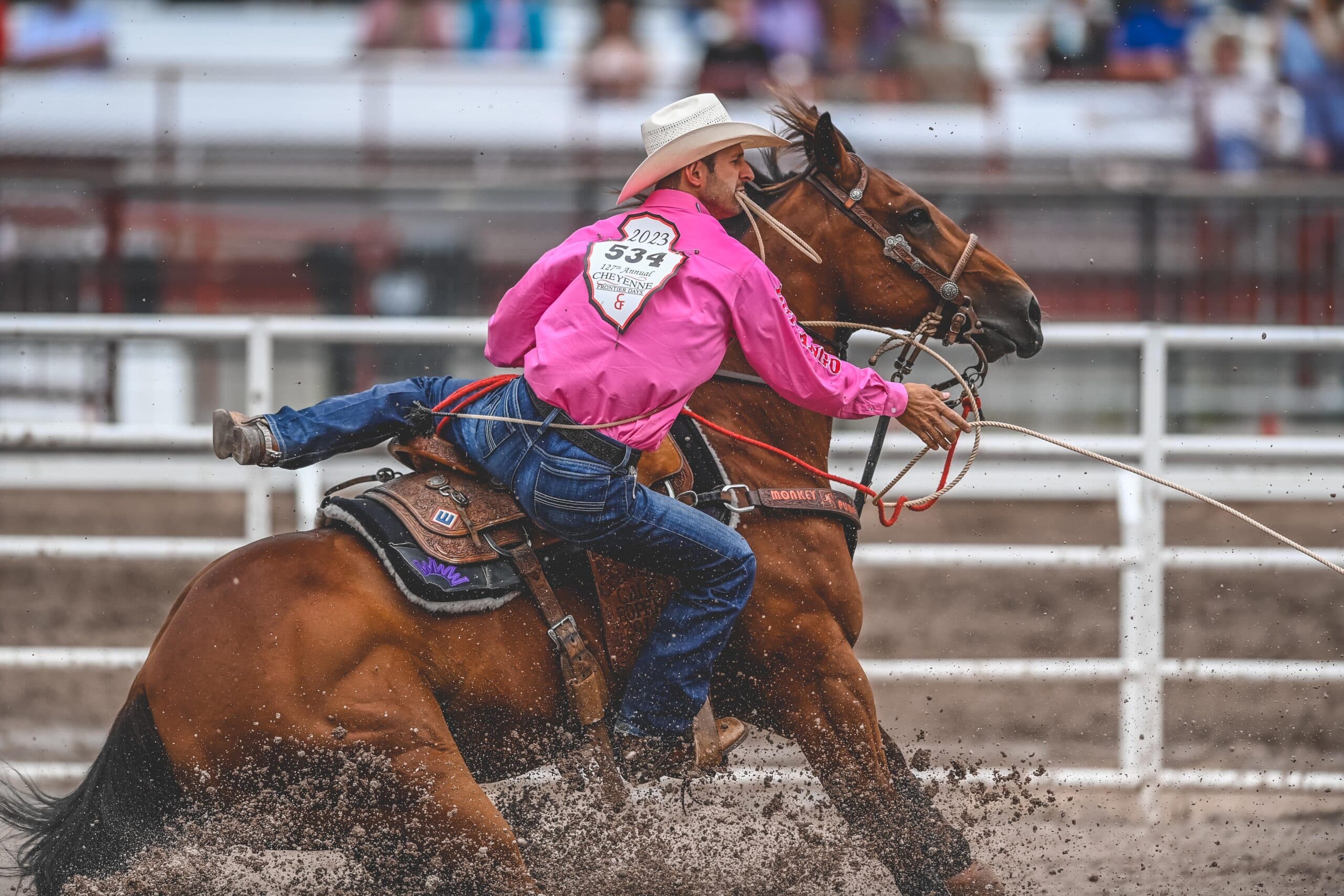 Shane Hanchey Cheyenne tie-down roping