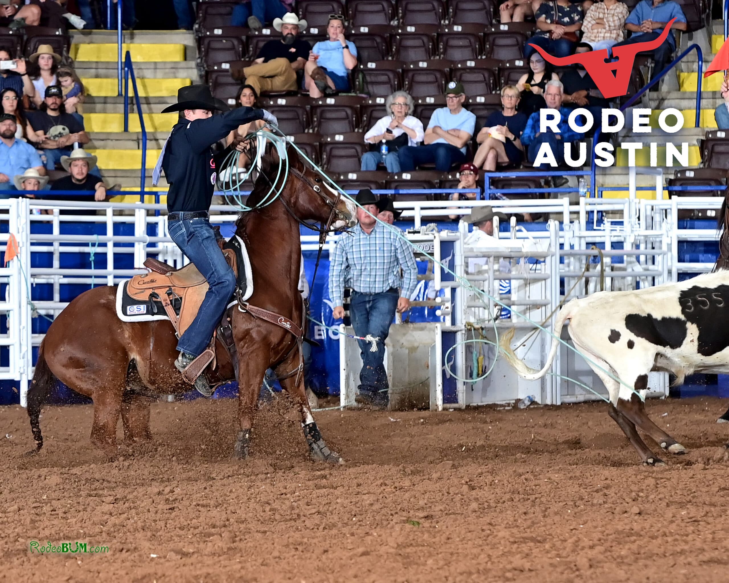 Cowboy on brown horse roping steer during calf roping event at Rodeo Austin with spectators in bleachers
