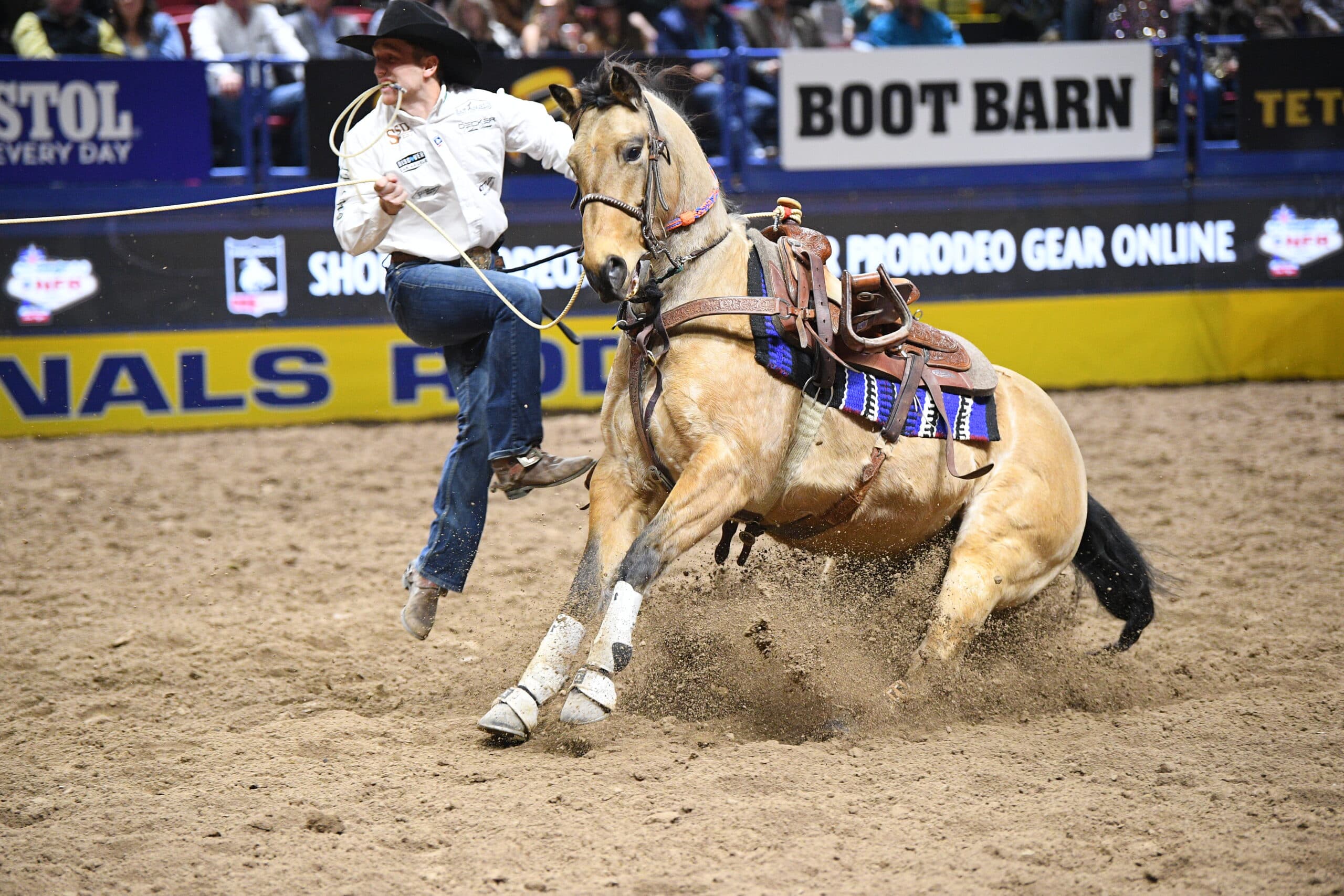 Joel Braden Harris and Daddys Shiner Cat at the 2025 NFR.