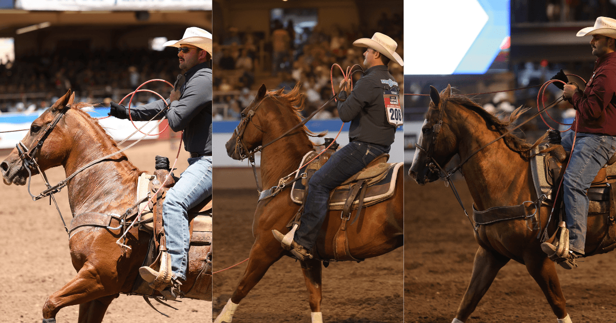 Three-panel composite of cowboys in straw hats swinging ropes aboard sorrel horses in an indoor rodeo arena