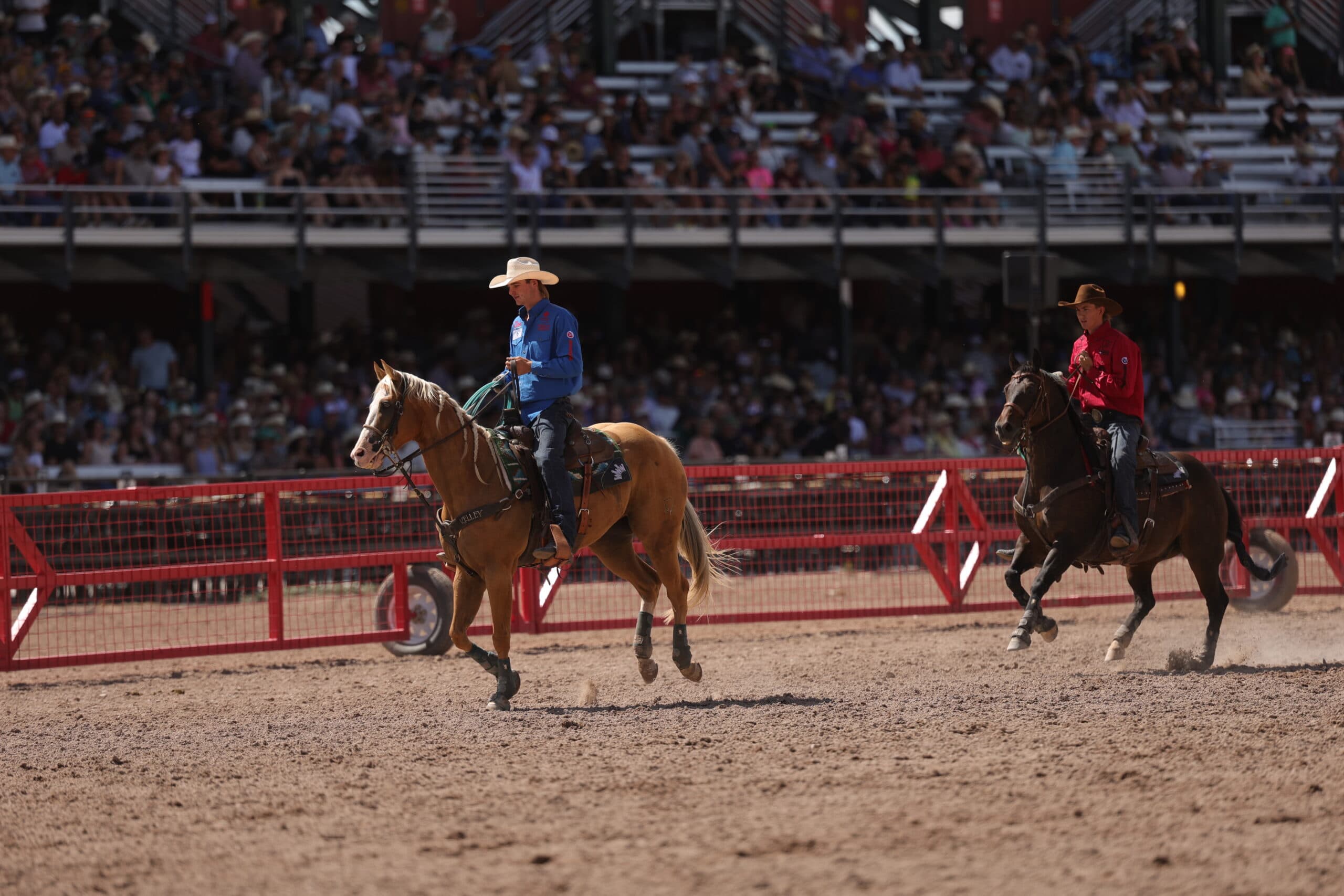 Two cowboys on horseback in a rodeo arena during a roping event, with grandstands full of spectators in the background