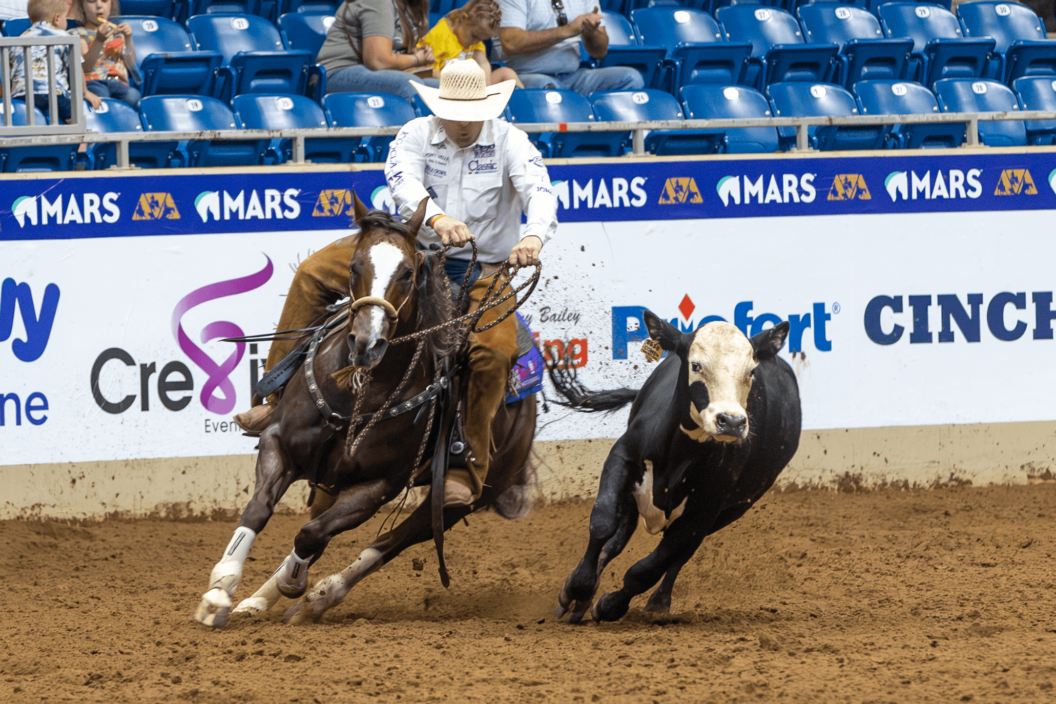Tyler Merrill Guides Life By The Drop to the Top at the 2026 NRCHA Hackamore Classic