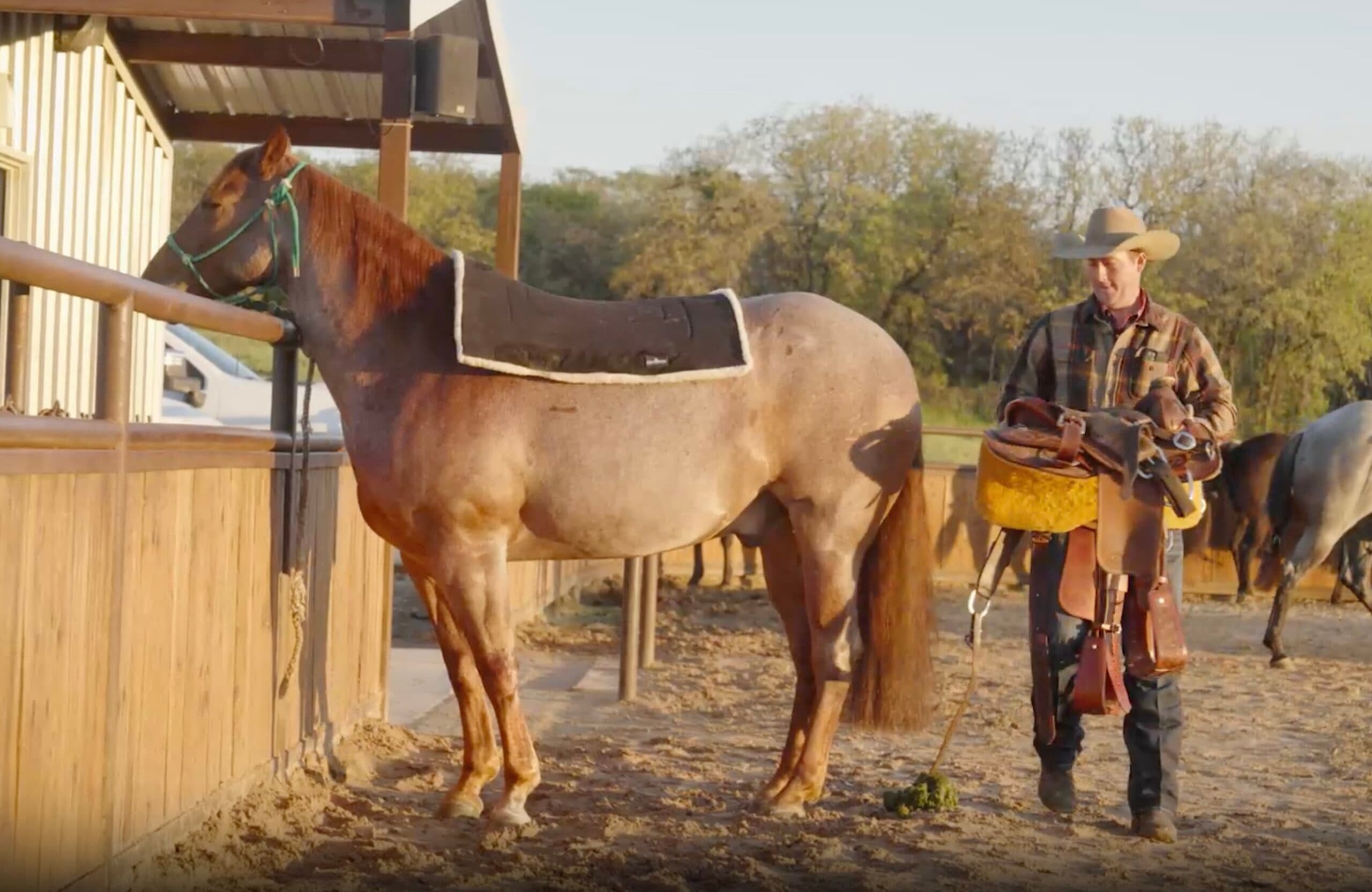 Cowboy in tan hat and brown jacket stands with saddled horse at ranch facility, holding reins and saddle equipment
