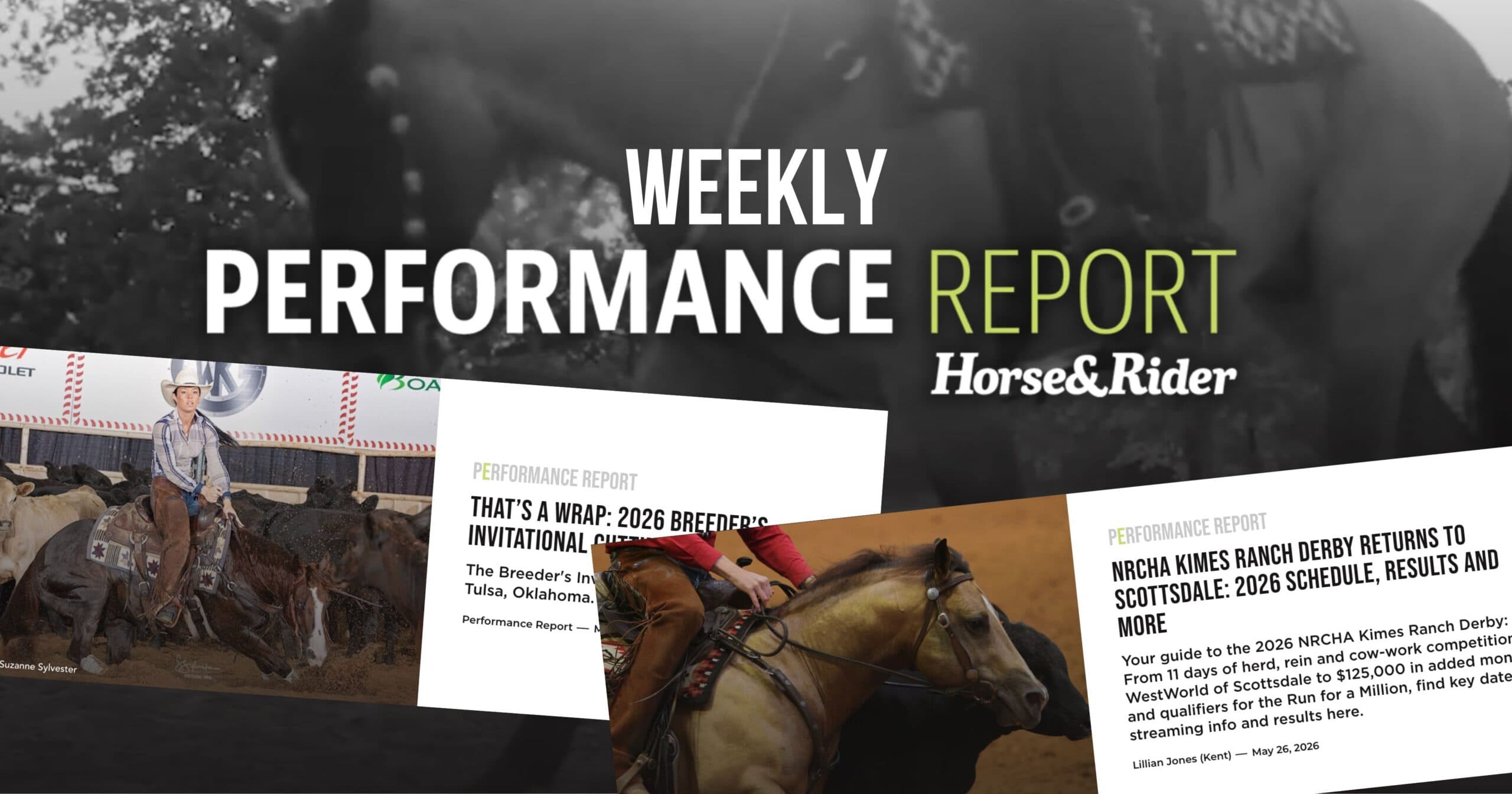 Horse&Rider Weekly Performance Report graphic with tilted article cards over a cutting horse and rider in the herd
