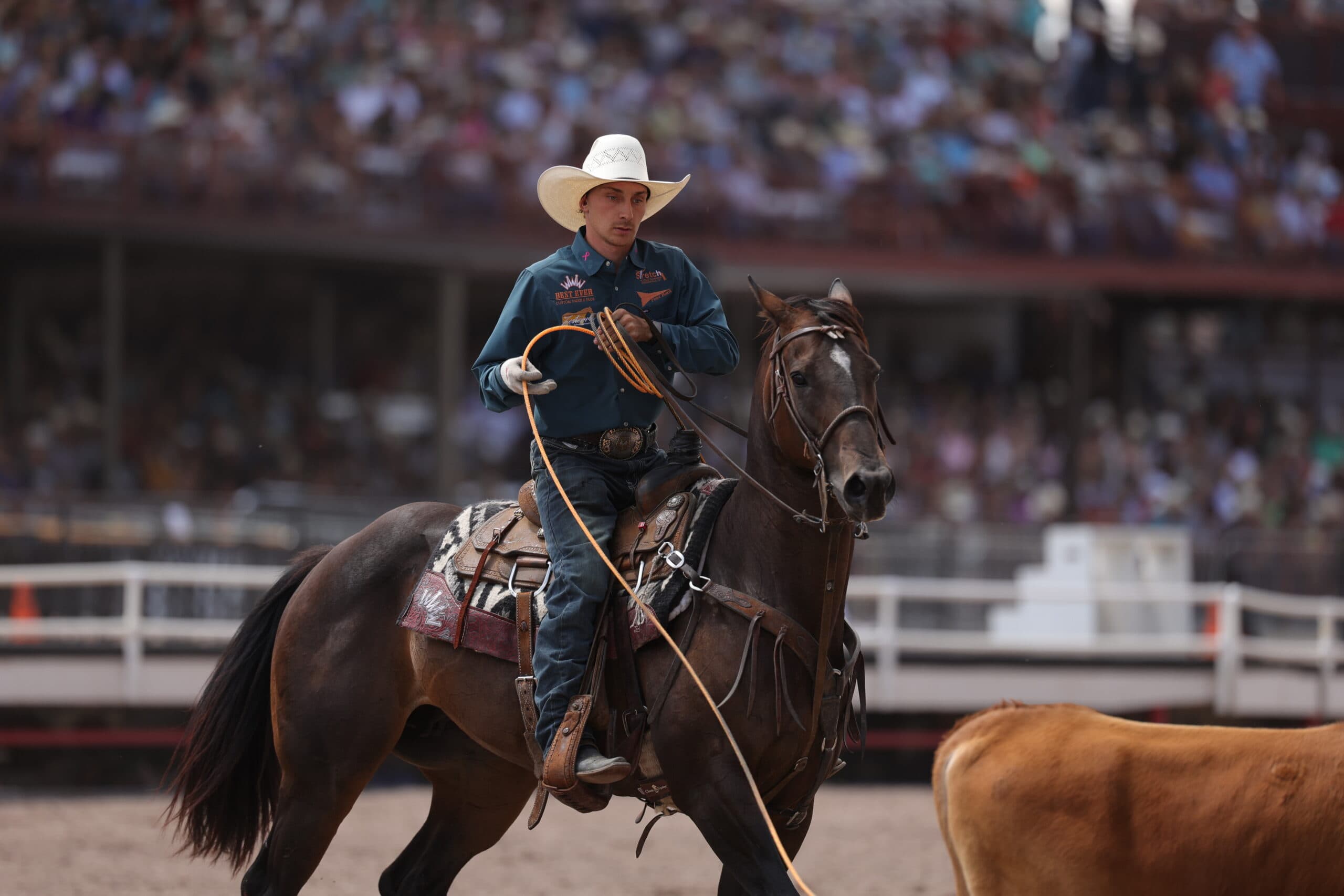 Cowboy in dark shirt and white Stetson sits atop dark brown horse in arena, holding coiled rope, with spectators and arena fencing in background