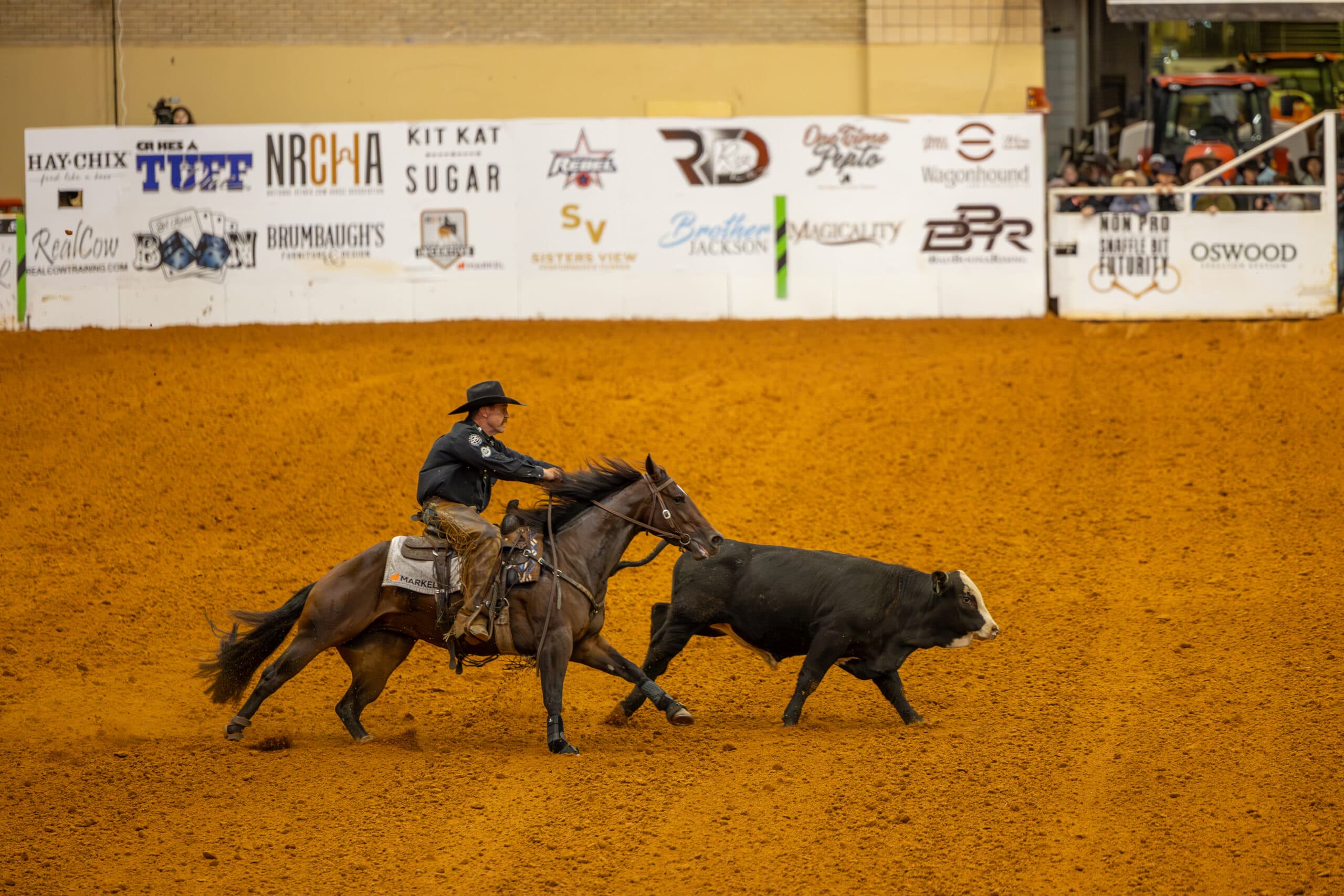 Cowboy in a black hat and chaps works a black baldy cow on a dark bay horse in a sponsor-lined arena