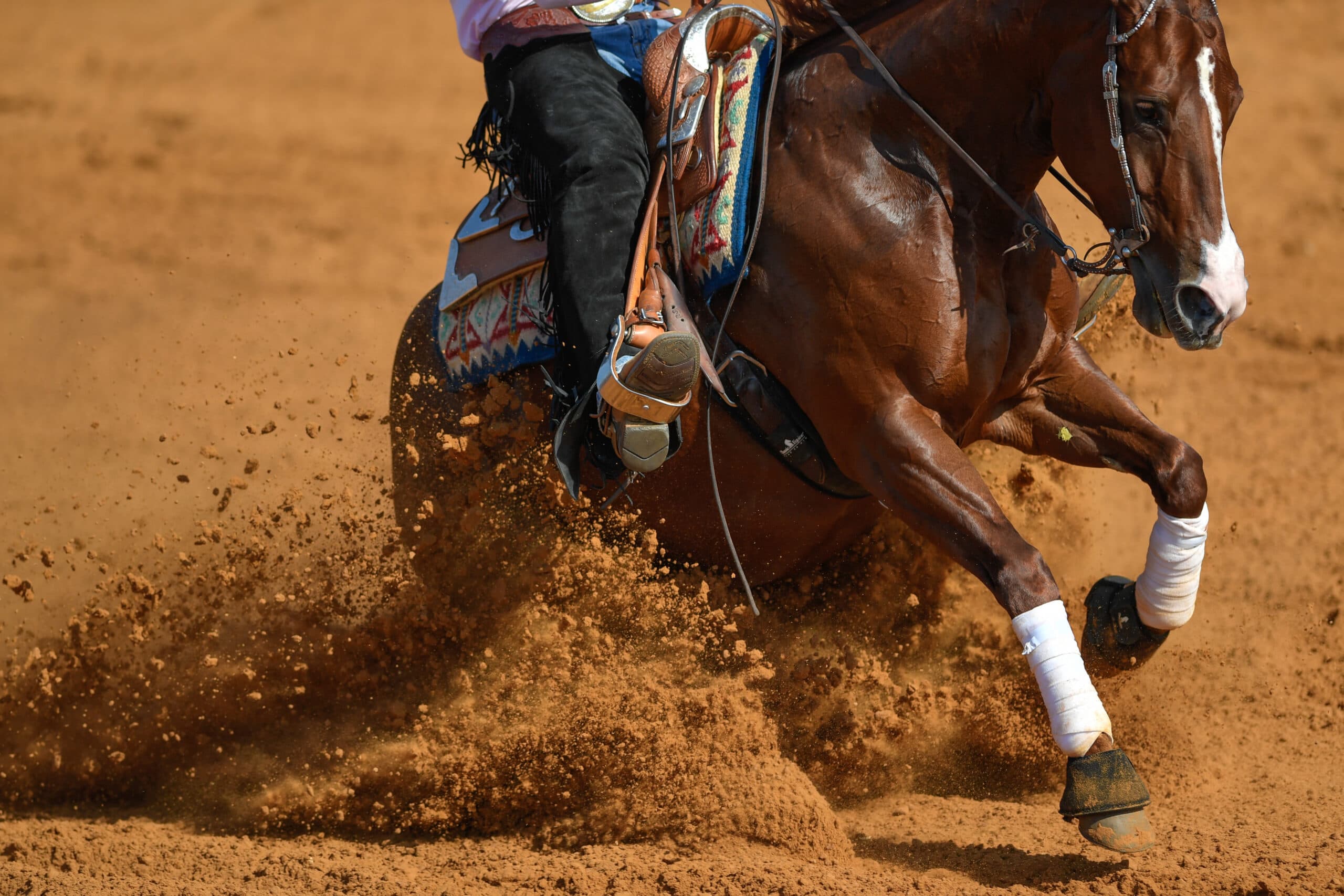 Chestnut reining horse in white polo wraps executing a sliding stop, spraying dirt as the rider sits deep in a western saddle