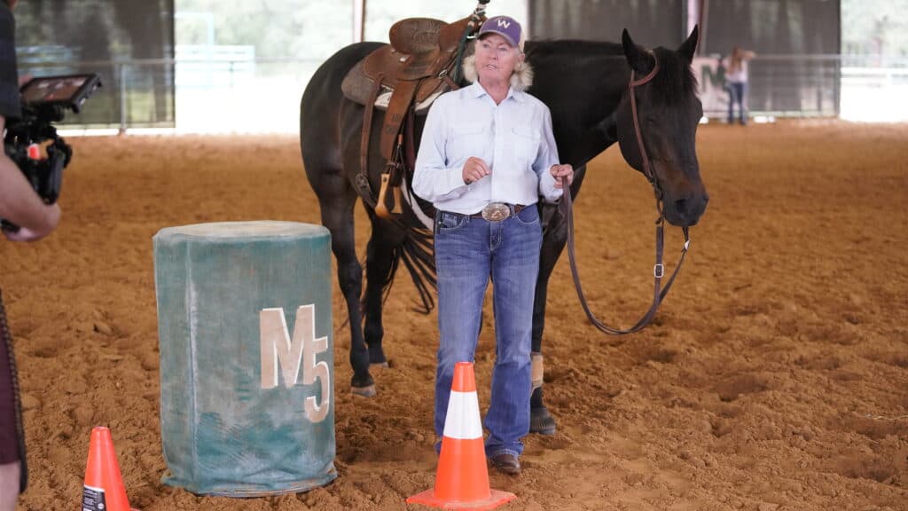 Woman in a purple cap and white shirt stands beside a saddled dark horse in a covered arena near a barrel and cone