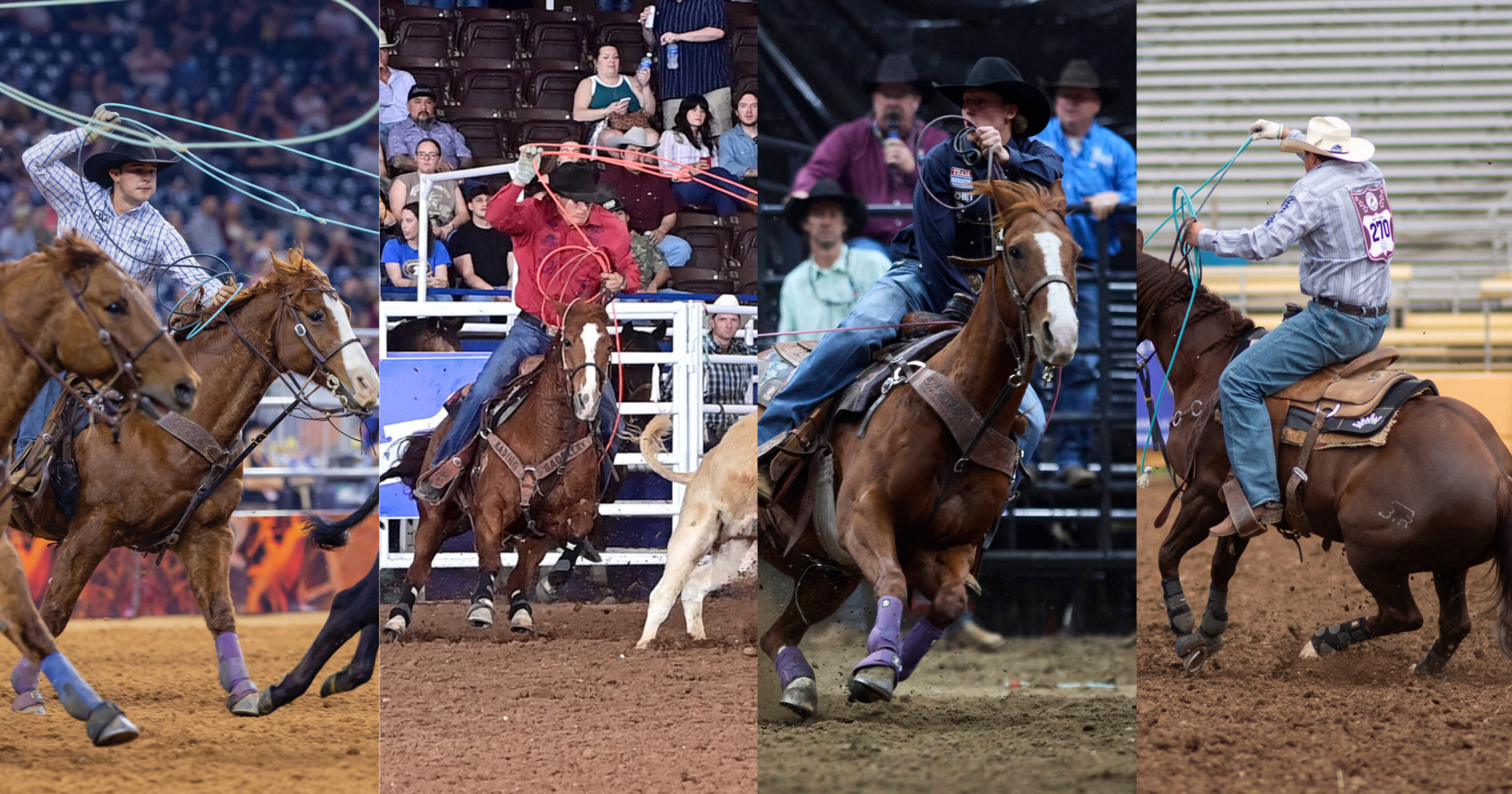 Who are the New Faces in the Top 15 of the 2026 PRCA World Standings?