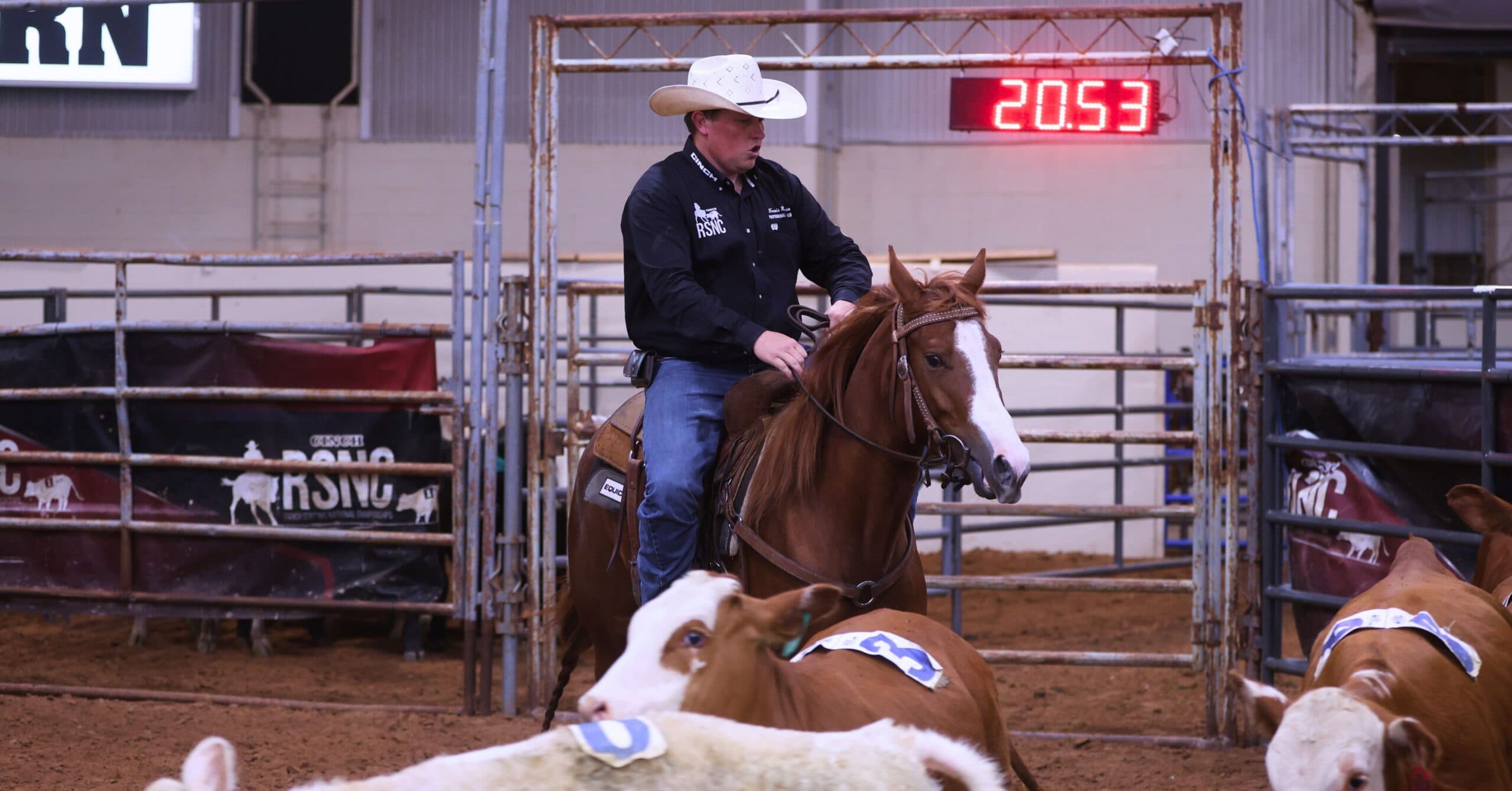 Cowboy in a straw hat and navy Cinch RSNC shirt works numbered cattle on a sorrel horse as the arena clock reads 20.53