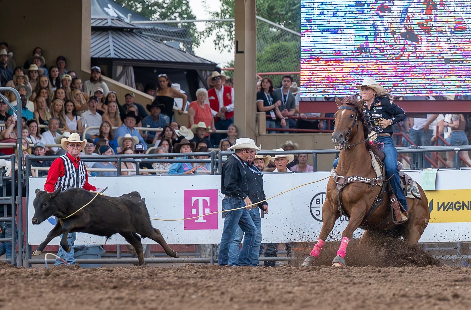 Taylor Munsell Roping her short round calf at the pikes peak or bust nfr open in 1.9 to win the rodeo.