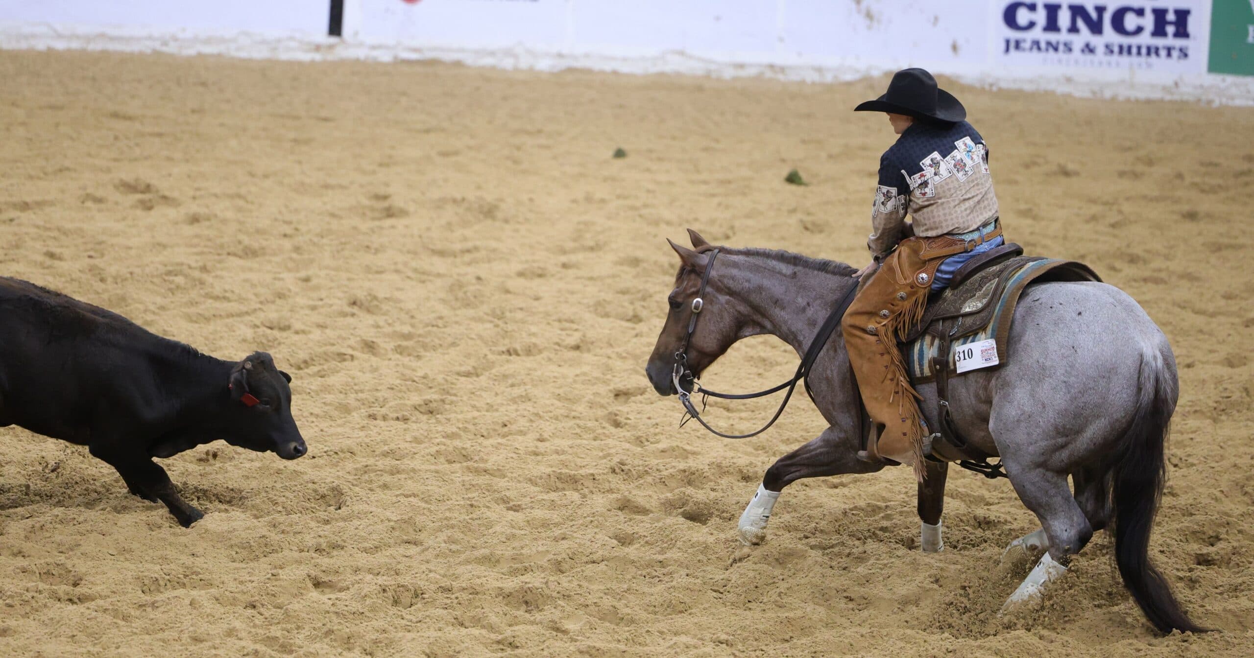 Cutting horse rider in chaps and black hat works a black calf on a blue roan wearing splint boots in a sandy arena