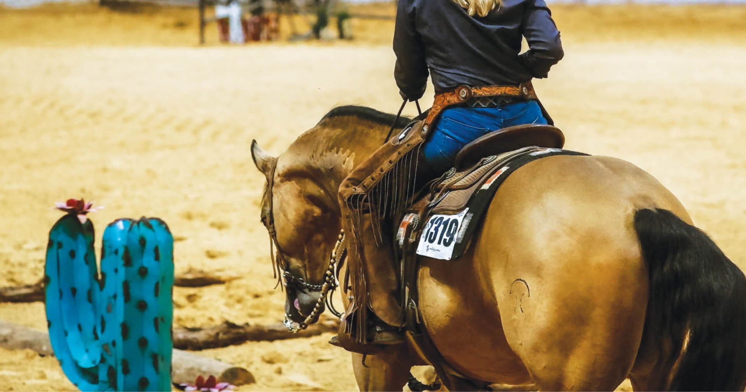 Rider in chaps and blue jeans on a buckskin horse wearing back number 1319 works past a turquoise cactus obstacle in a trail course